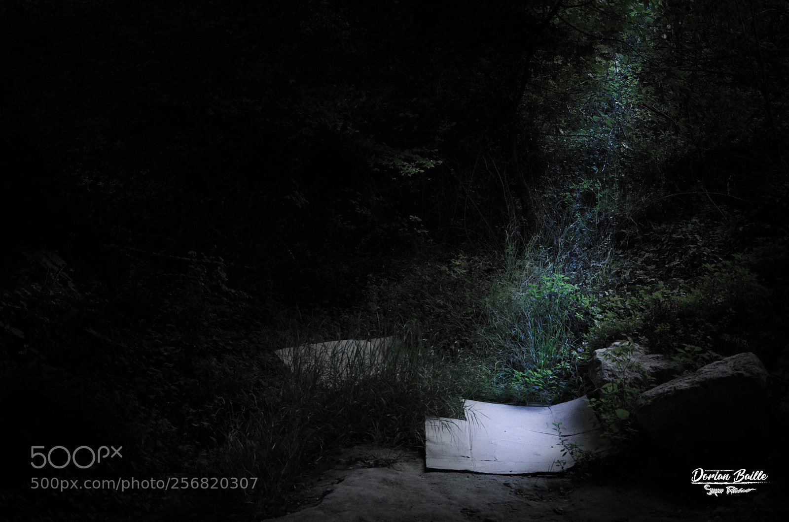 Nikon D5100 sample photo. Moon beam photography