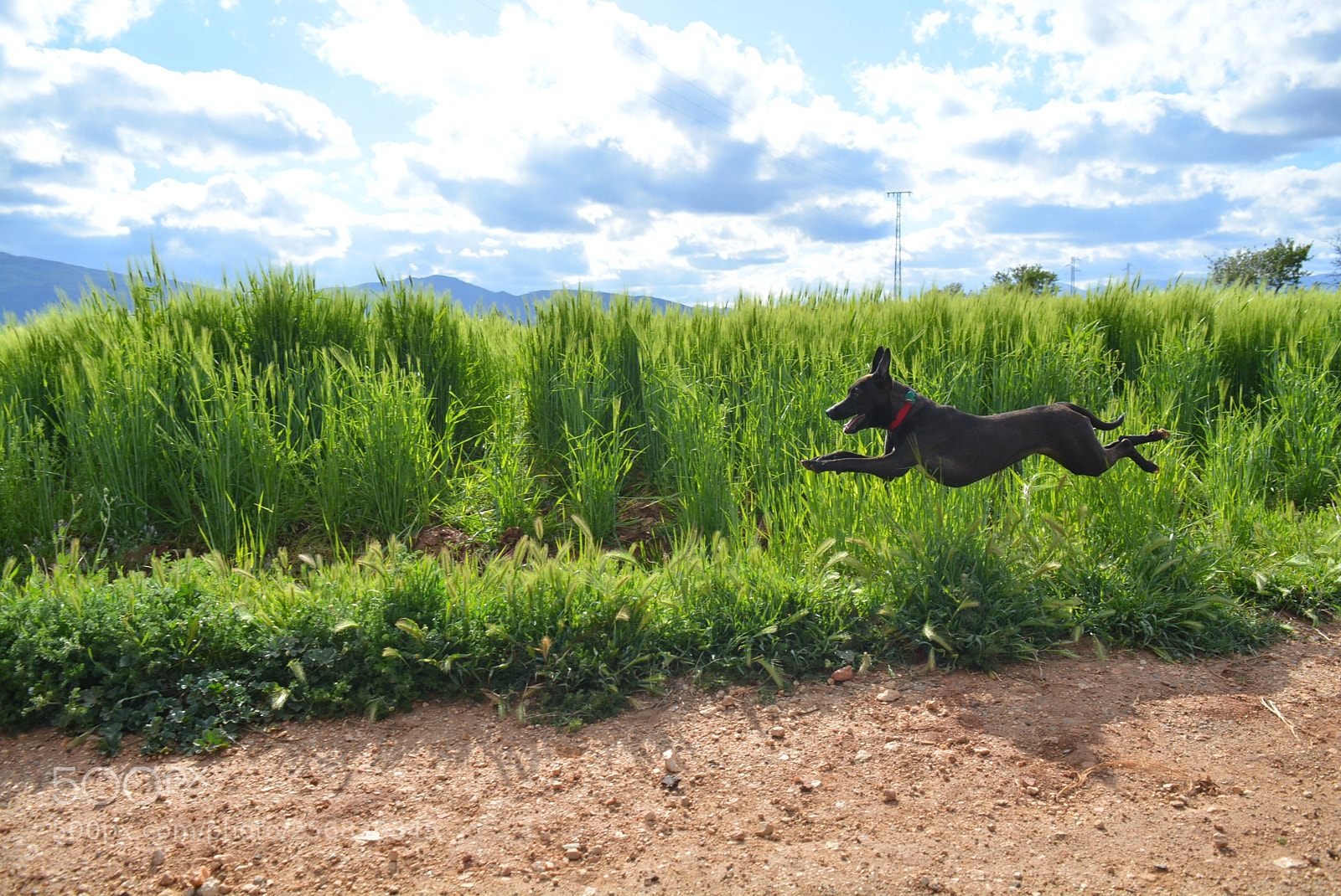 Nikon D5200 sample photo. Granada photography