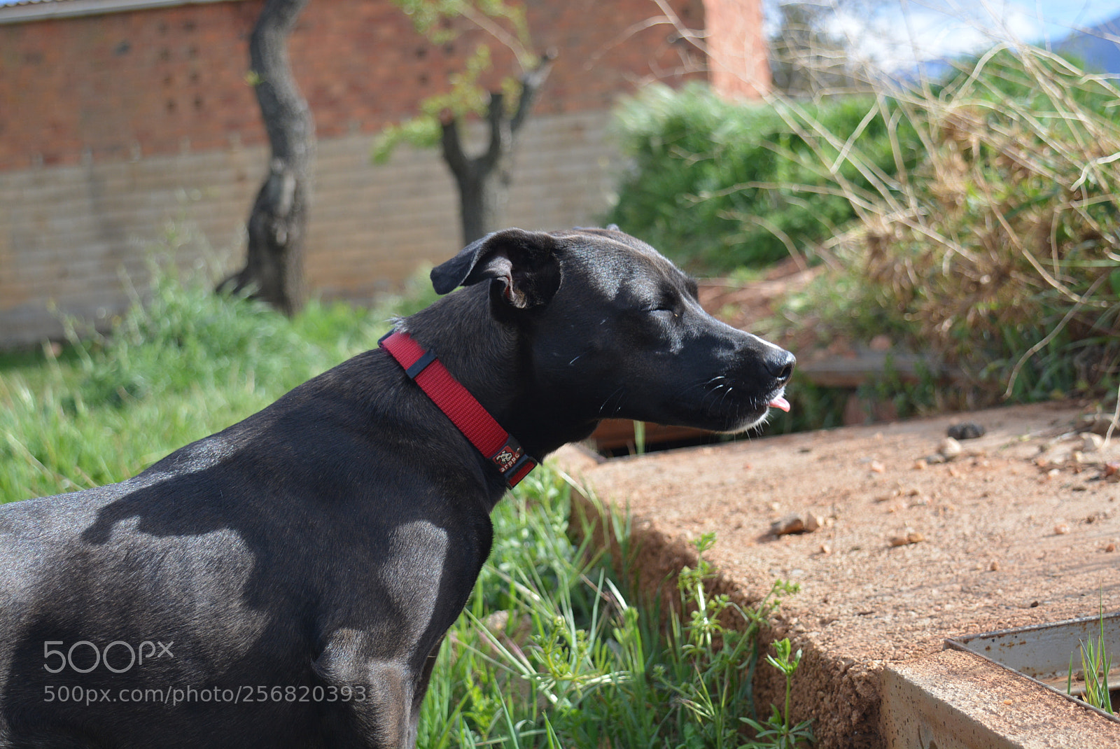 Nikon D5200 sample photo. Granada photography