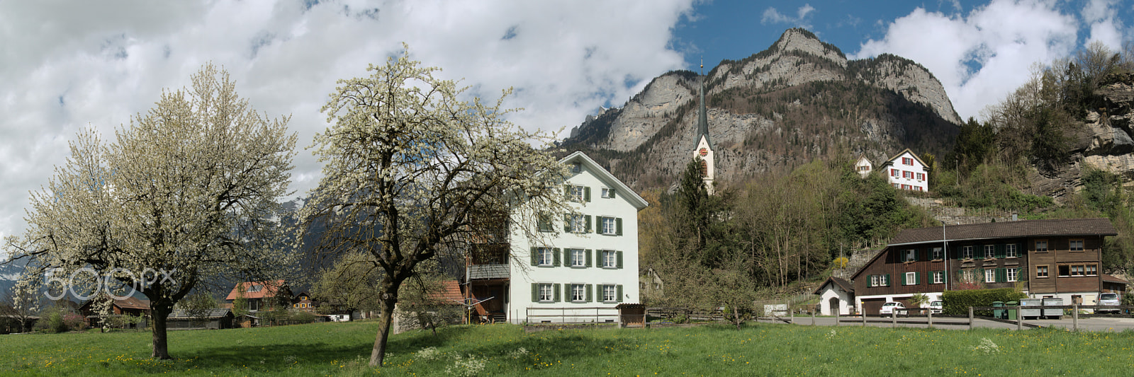 Nikon D300 sample photo. Spring in berschis photography