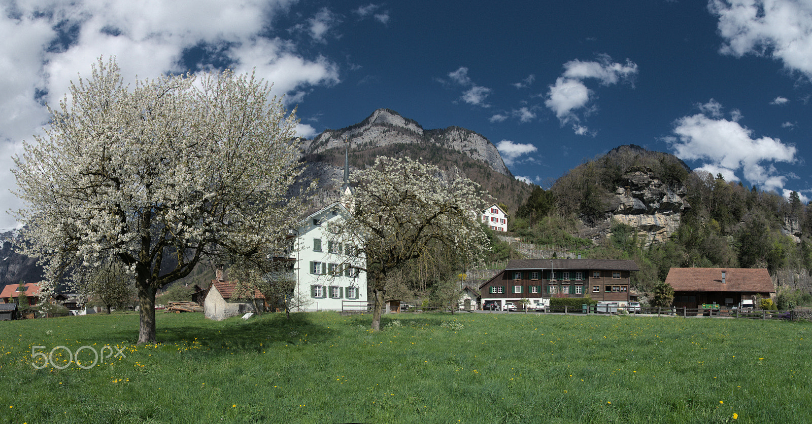 Nikon D300 sample photo. Spring in berschis photography