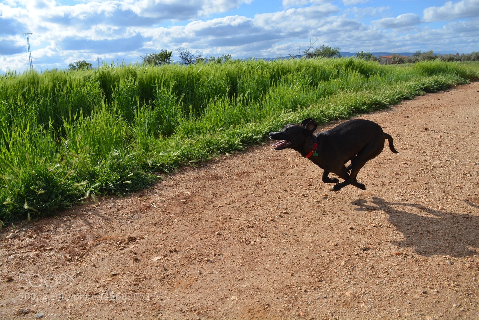 Nikon D5200 sample photo. Granada photography