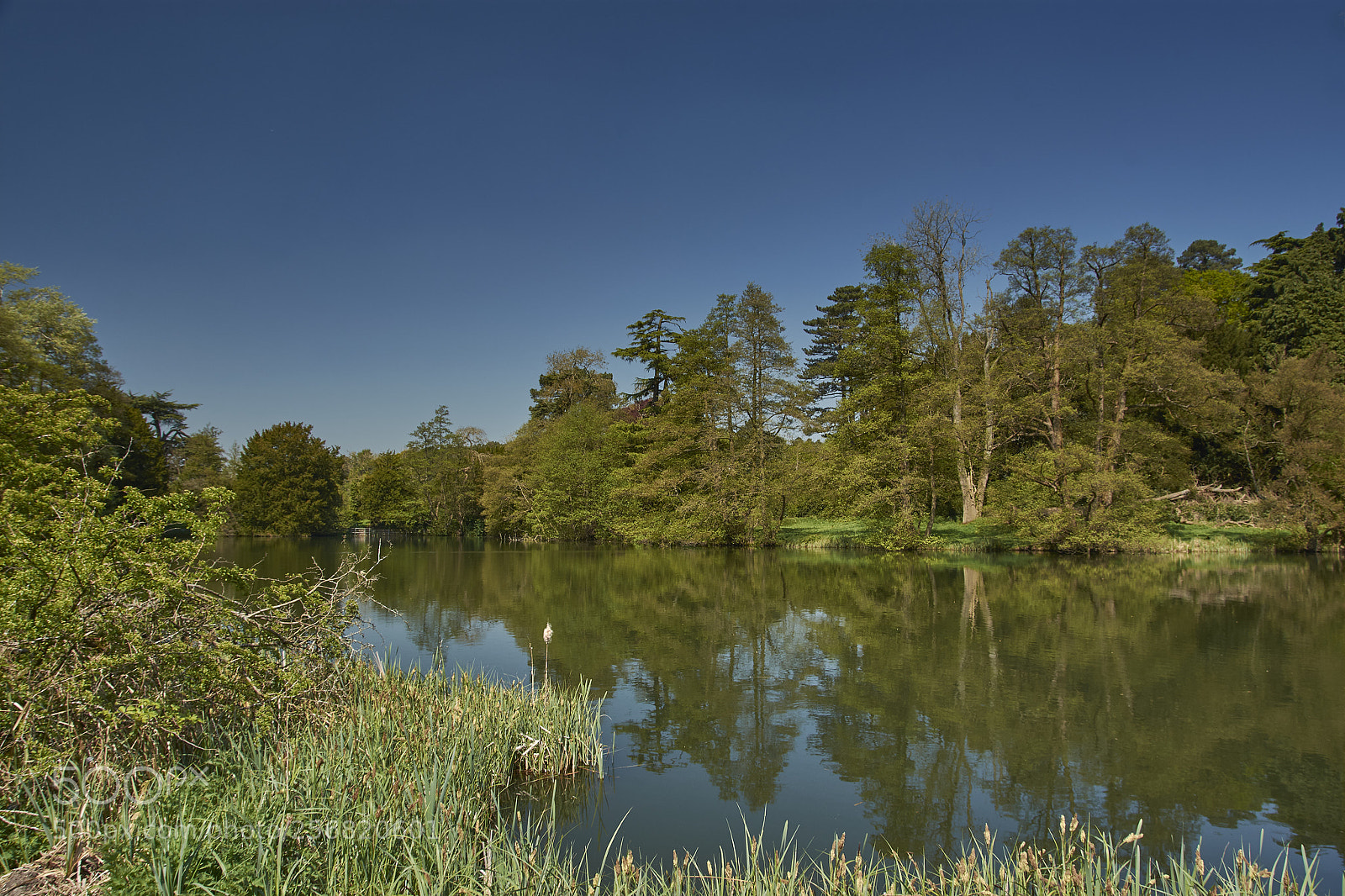 Nikon D7200 sample photo. Sunshine and reflections photography