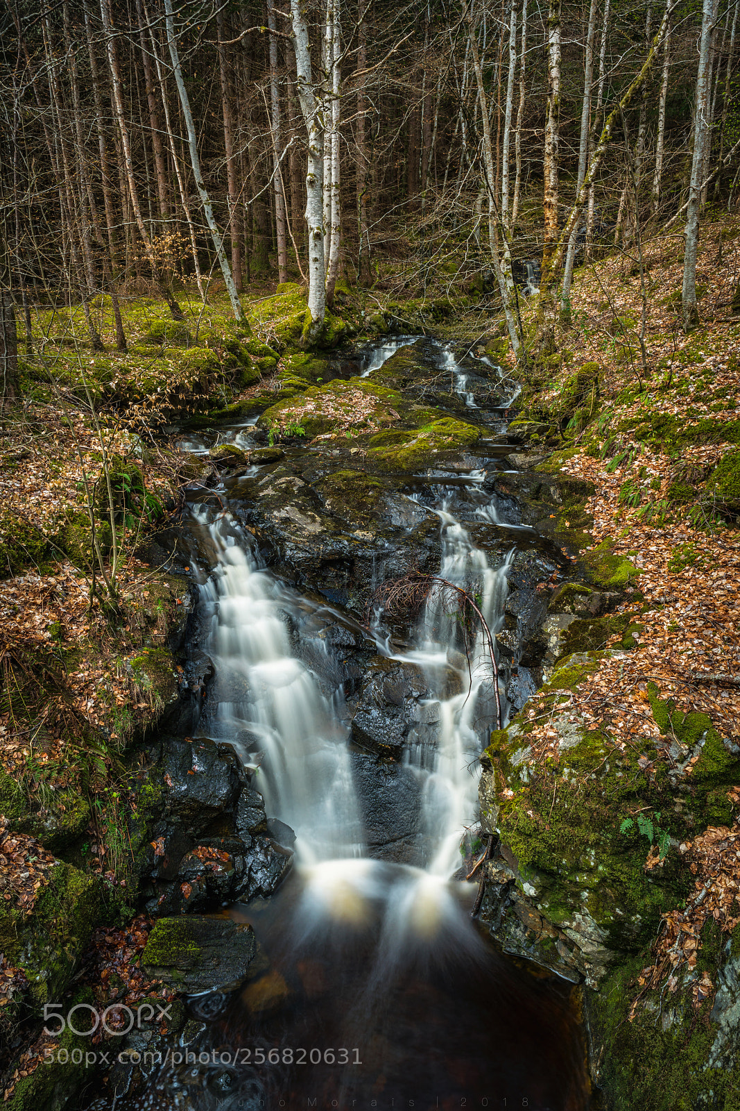 Sony a7R II sample photo. Deep in the highlands photography