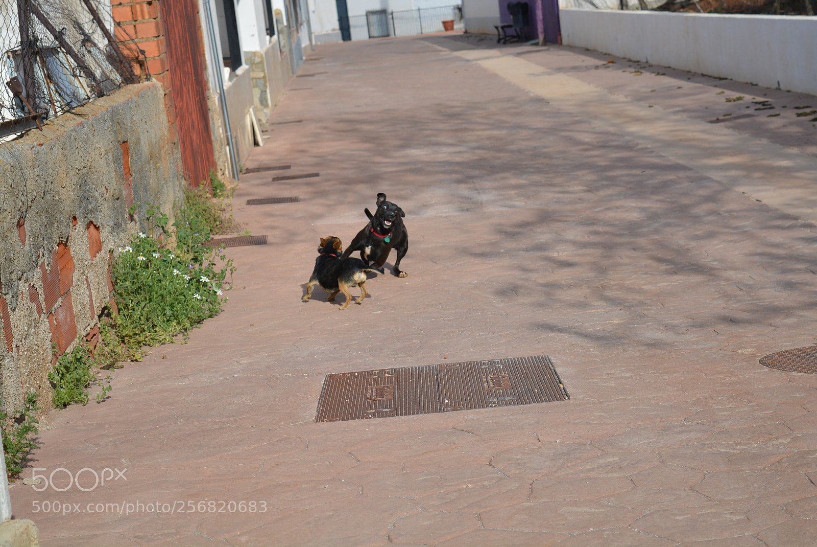 Nikon D5200 sample photo. Granada photography