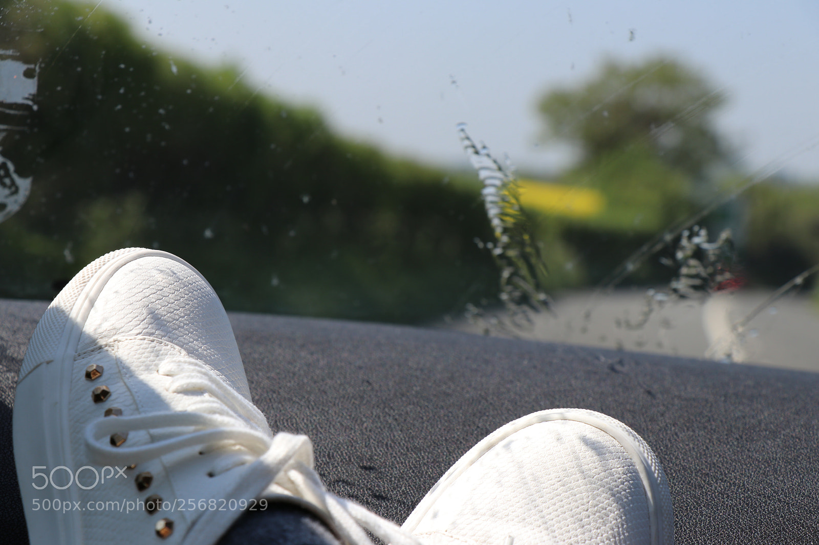 Canon EOS 80D sample photo. Untitled photography