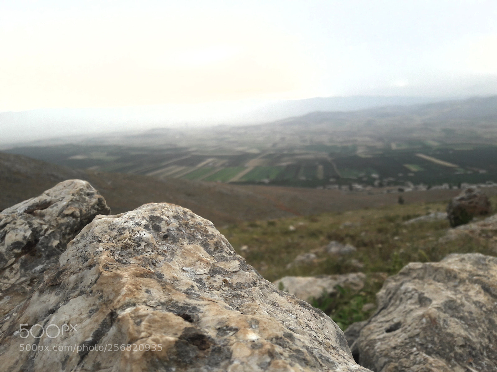 Samsung Galaxy A5(2016) sample photo. Untitled photography