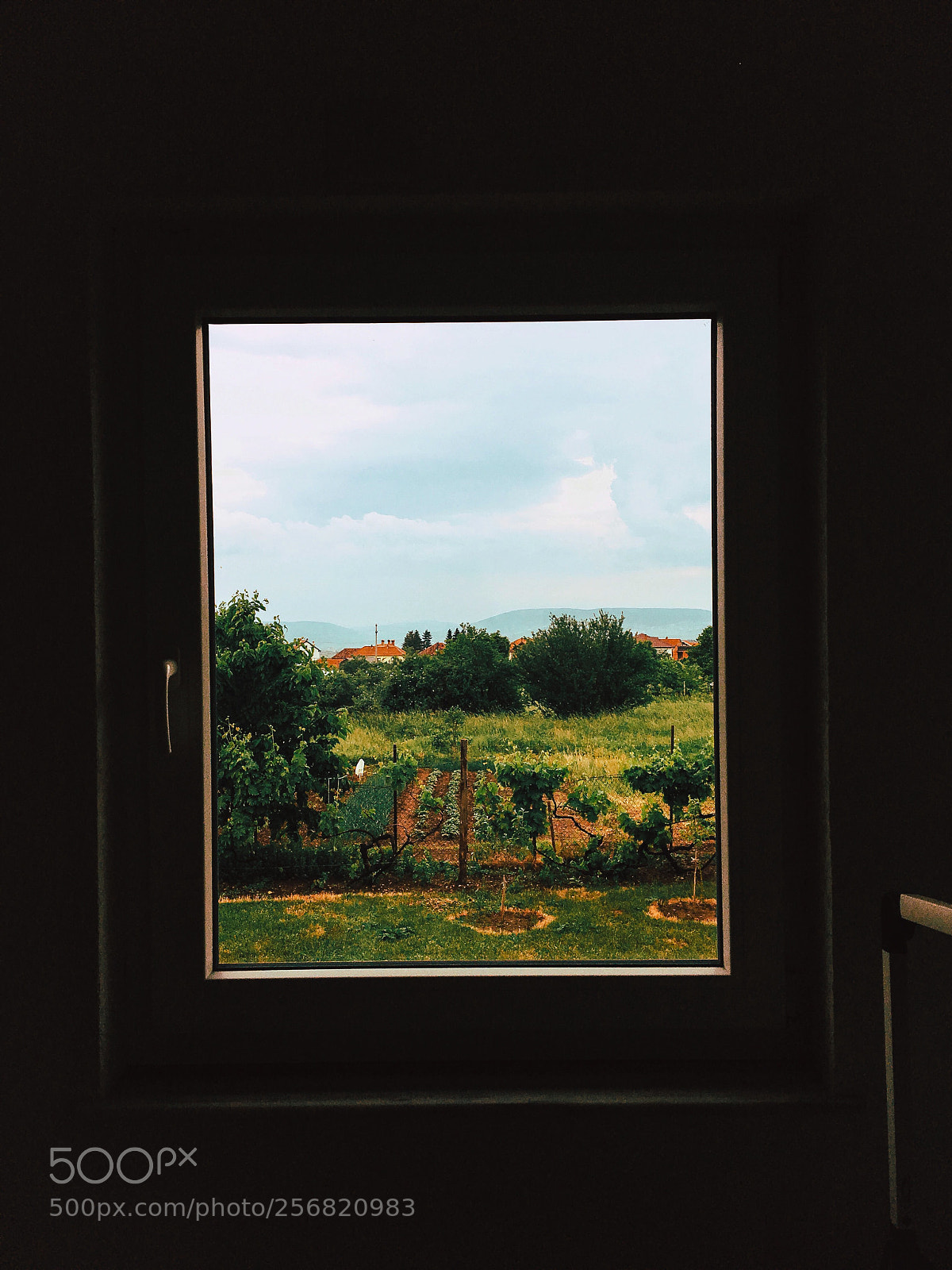 Apple iPhone 6s sample photo. Untitled photography
