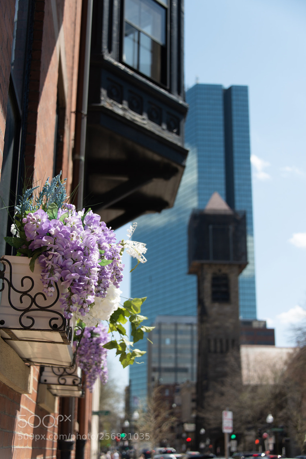 Nikon D800 sample photo. City perch photography