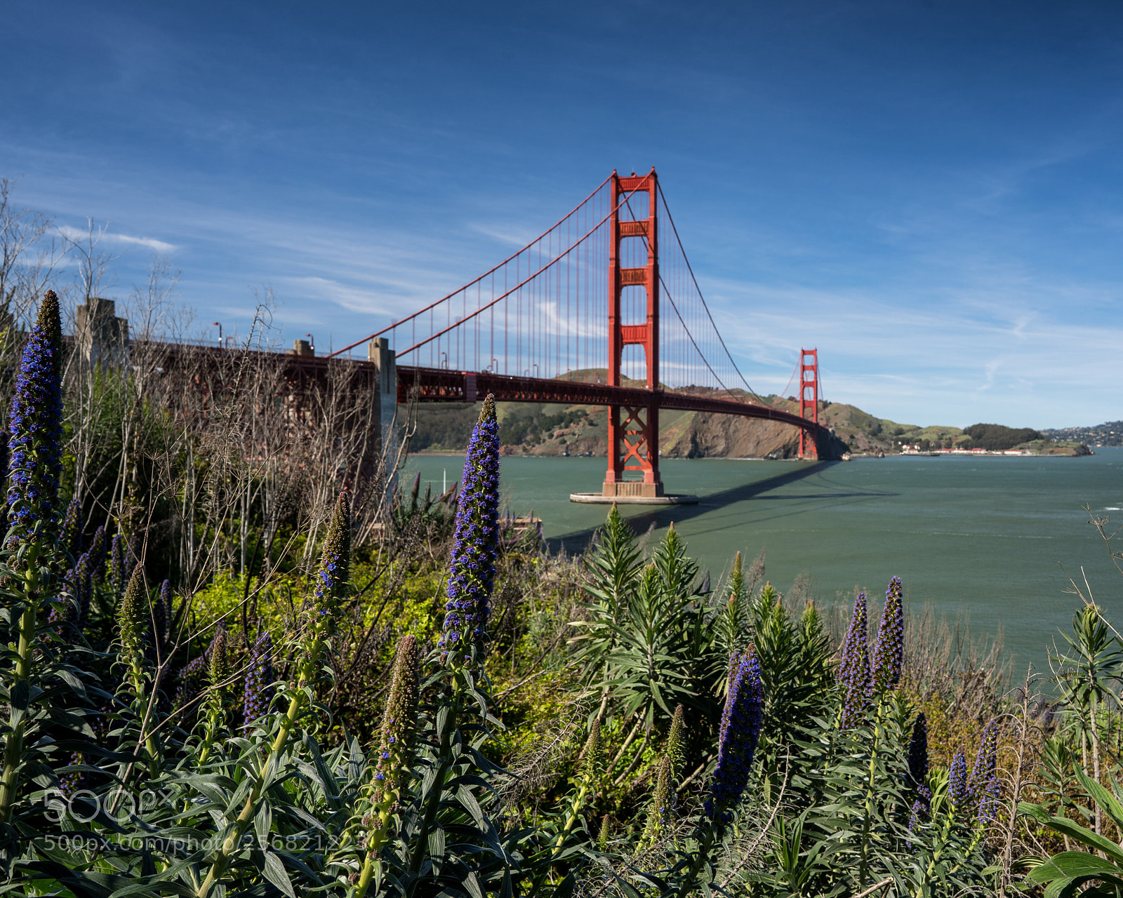 Sony a7R III sample photo. The bridge photography