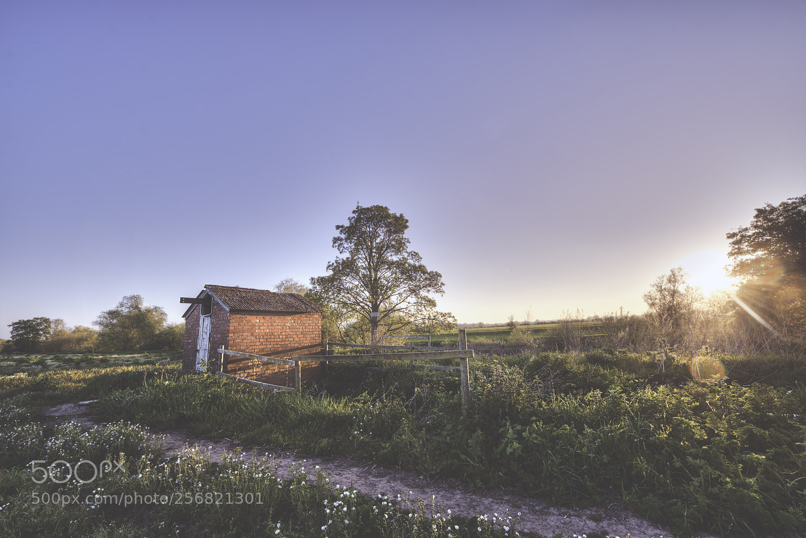 Nikon D750 sample photo. Little cabin photography