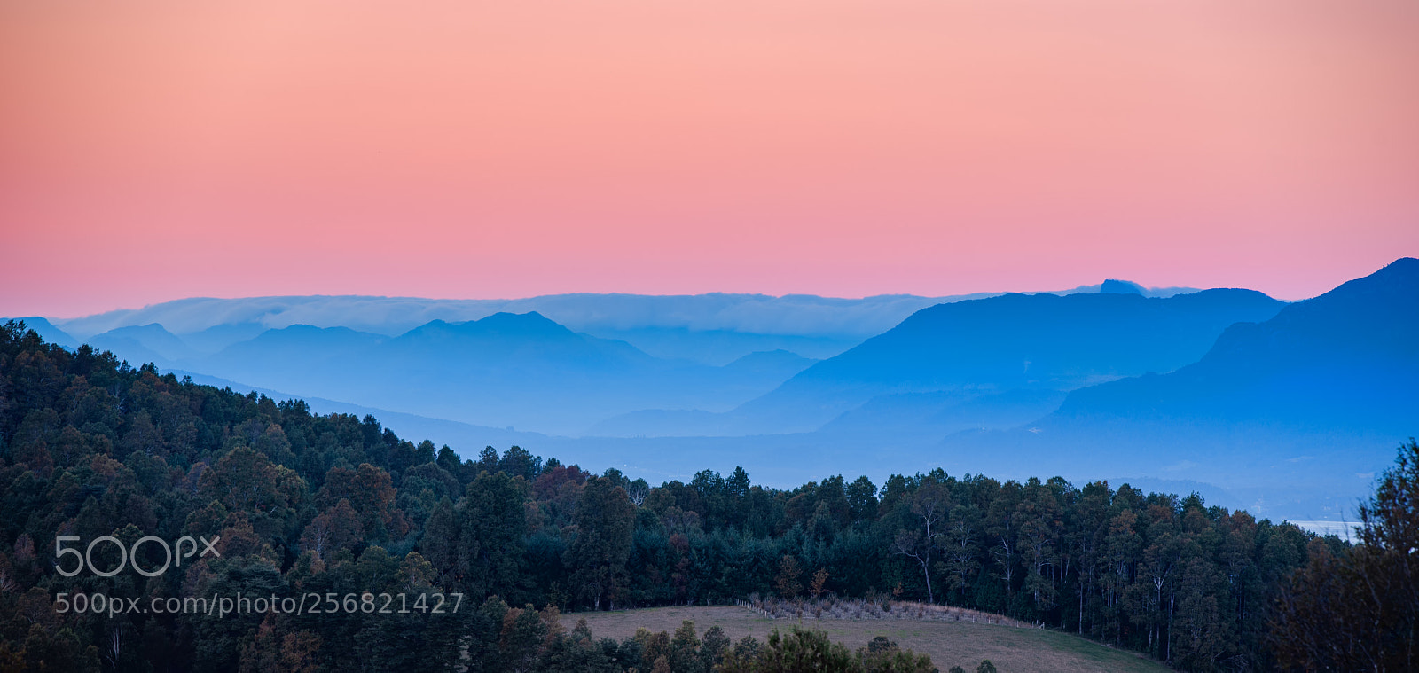 Nikon D750 sample photo. Andes photography