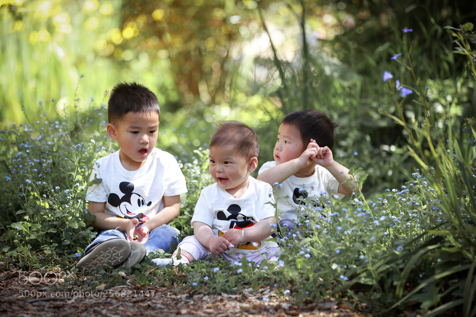 Canon EOS-1D X sample photo. Hq photography