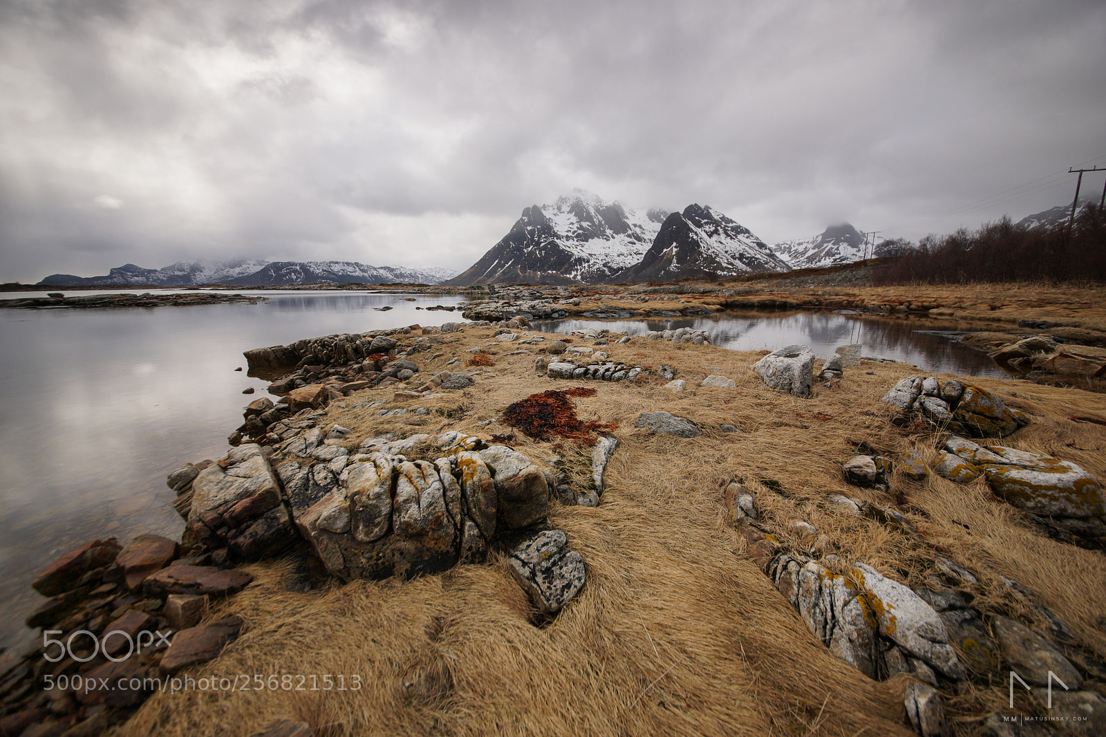 Sony SLT-A99V sample photo. Lofoten life photography
