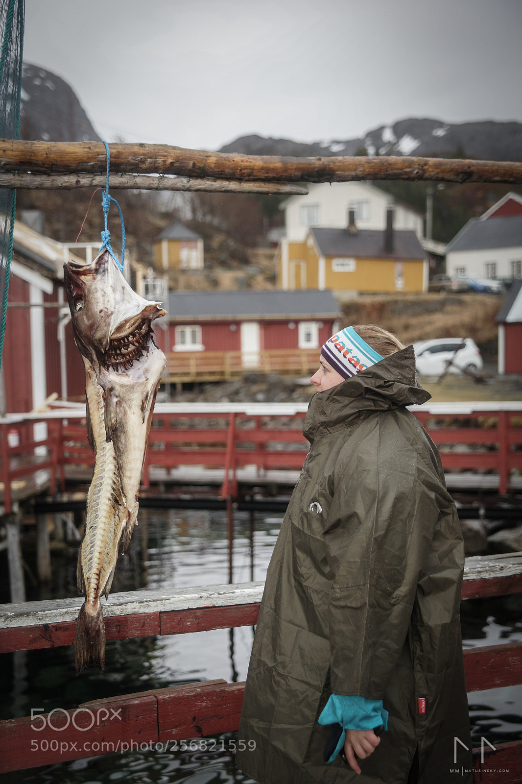 Sony SLT-A99V sample photo. Lofoten life photography