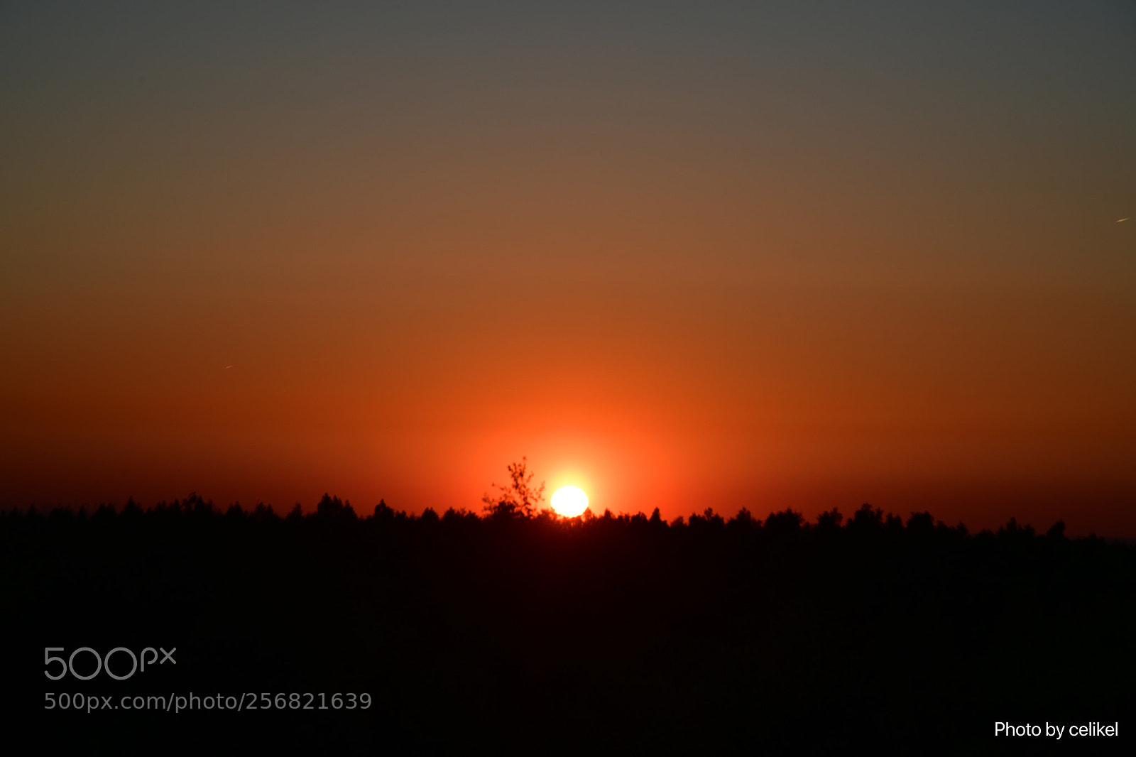 Nikon D850 sample photo. Amazing sunset photography
