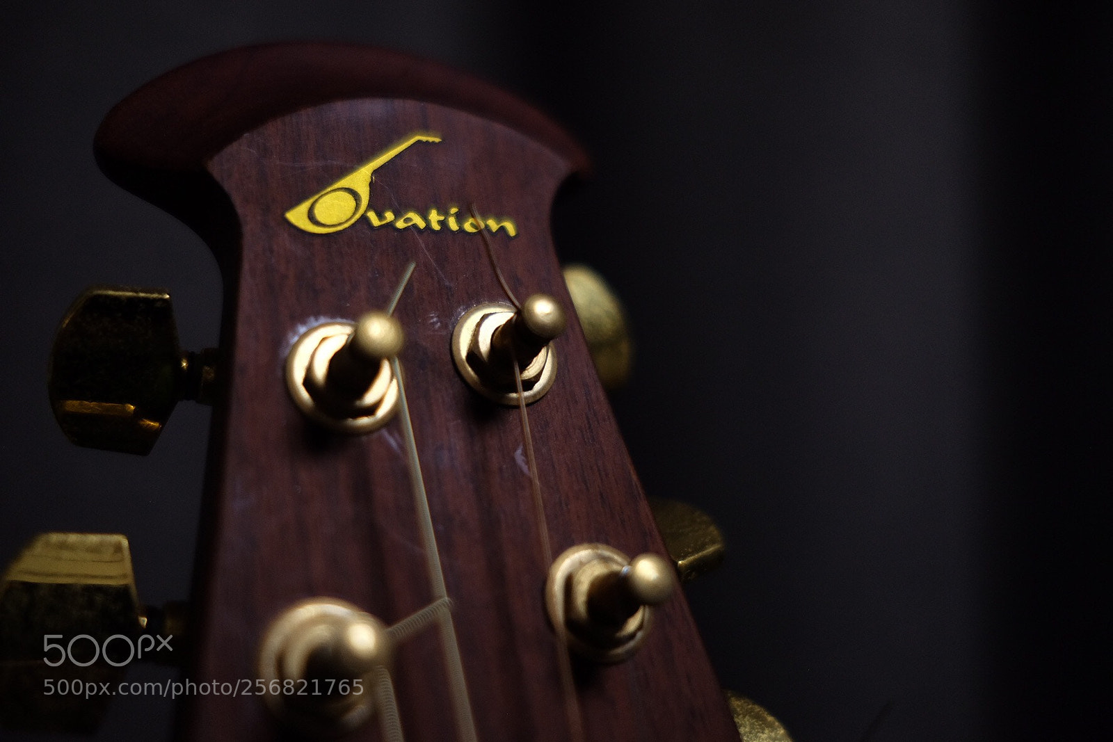 Fujifilm X-E2 sample photo. Peg of ovation  photography
