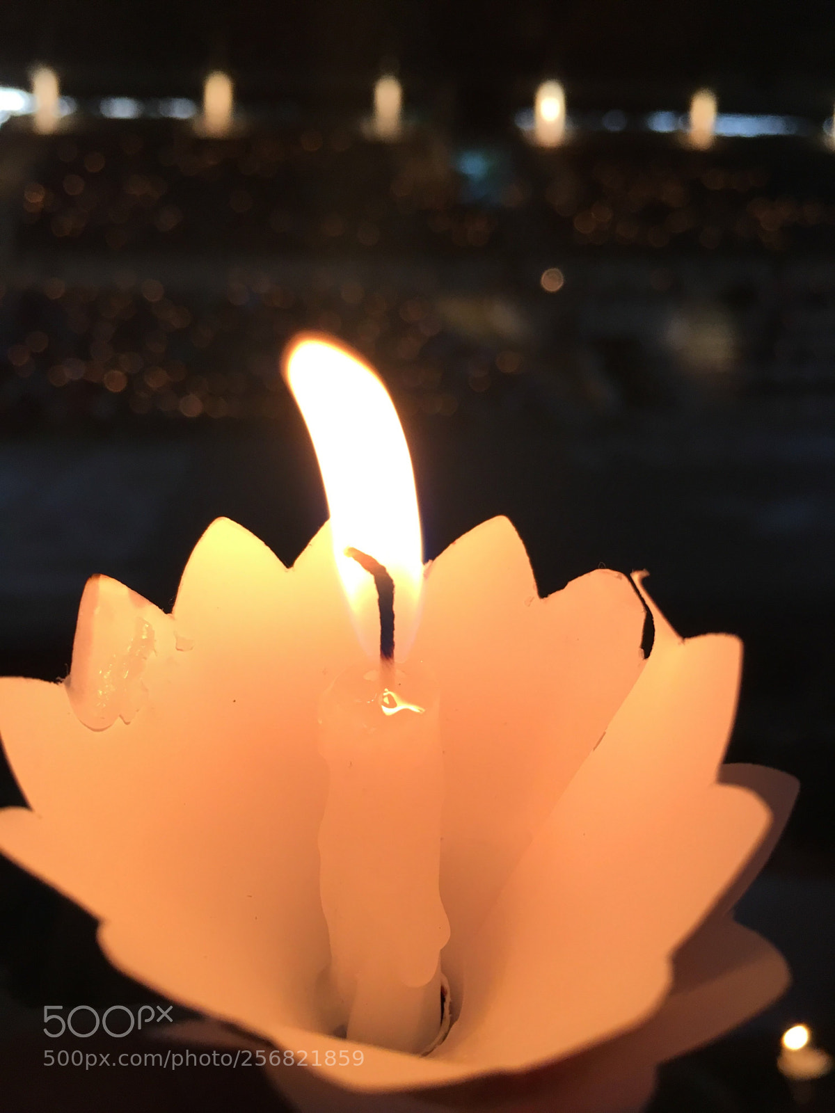 Apple iPhone 6s sample photo. Fire flower photography