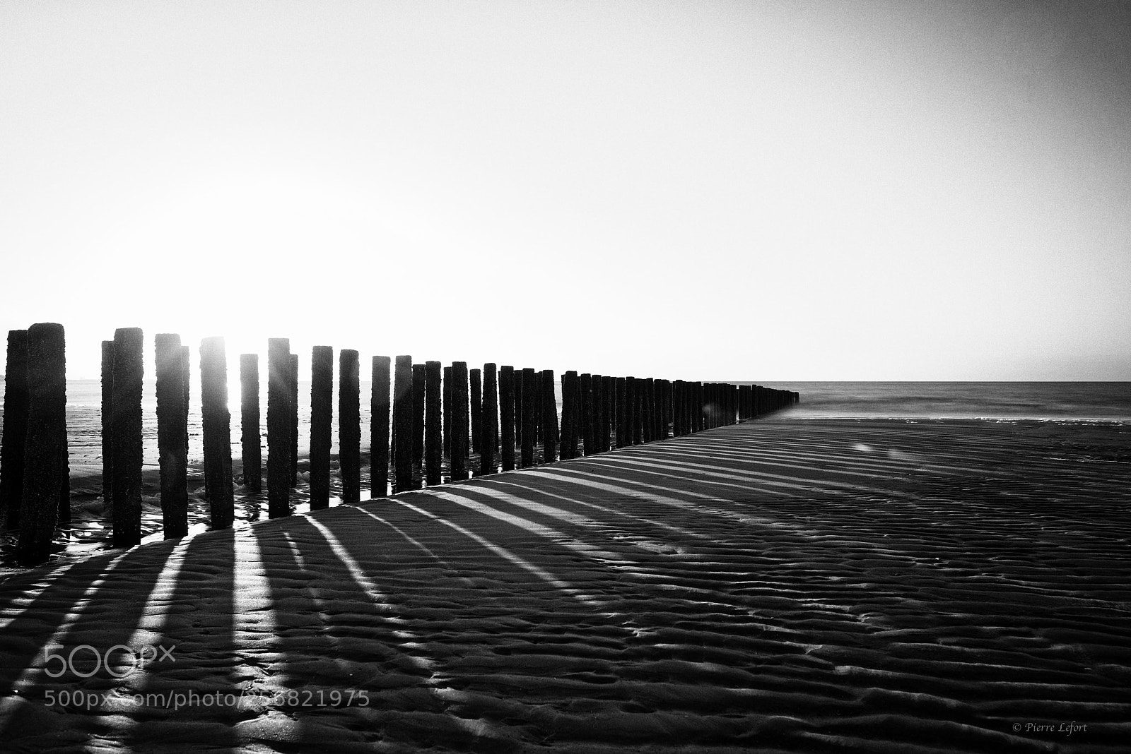 Nikon D800 sample photo. Beach sunset in b photography