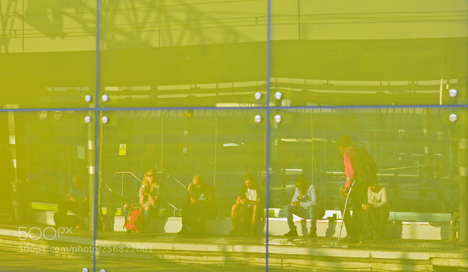 Nikon D5200 sample photo. Untitled photography