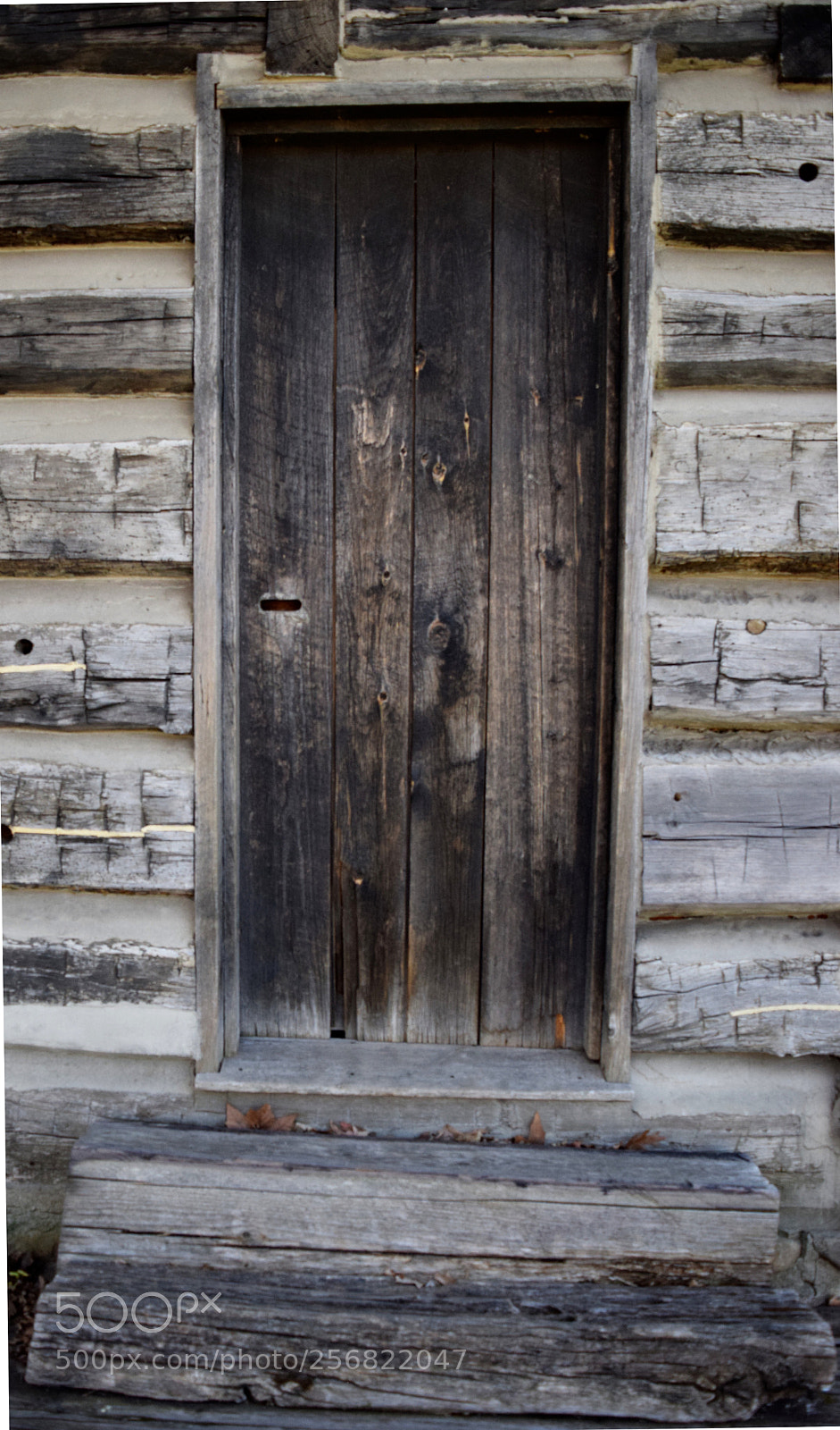 Nikon D3300 sample photo. Wood door photography