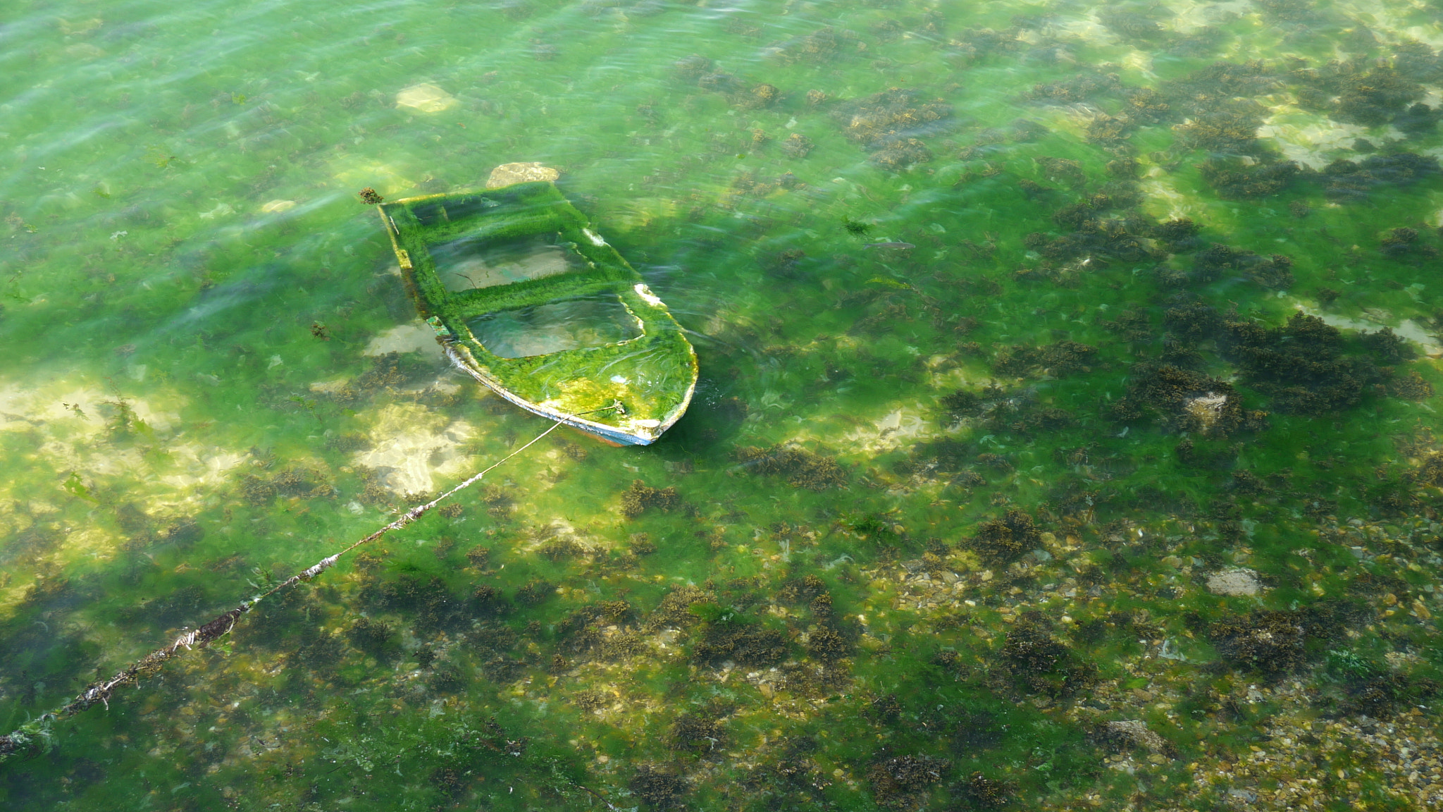Panasonic Lumix DMC-GH1 sample photo. Una vieja barca hundida con filtro cpl / a sunken old boat with cpl filter photography