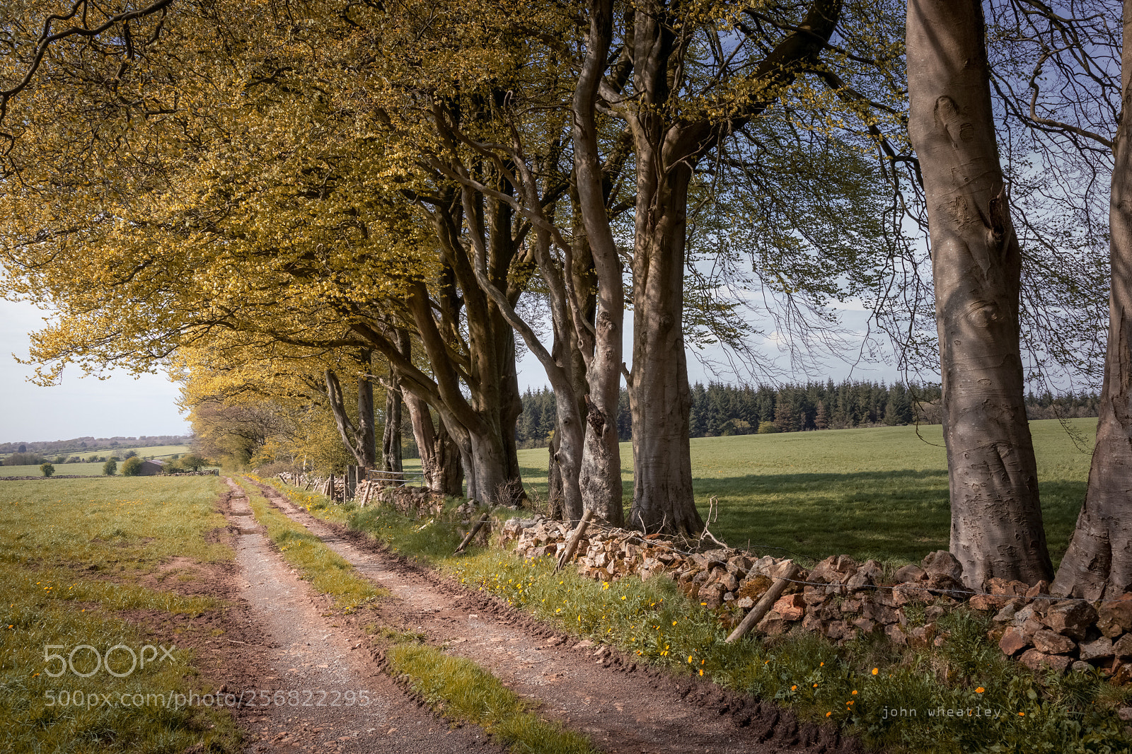 Canon EOS 5D Mark IV sample photo. 18-2489.jpg-farm track photography