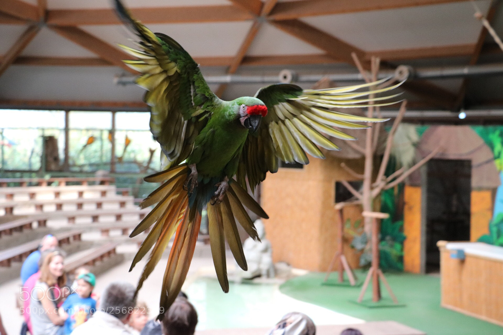 Canon EOS 750D (EOS Rebel T6i / EOS Kiss X8i) sample photo. Fly photography