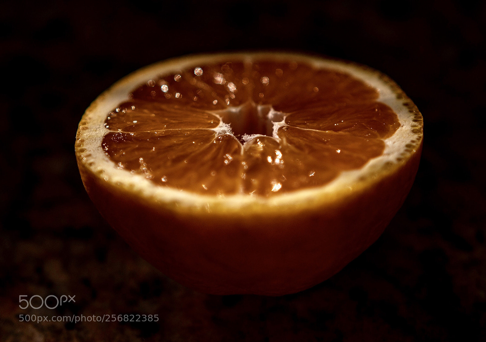 Nikon D7500 sample photo. Orange photography