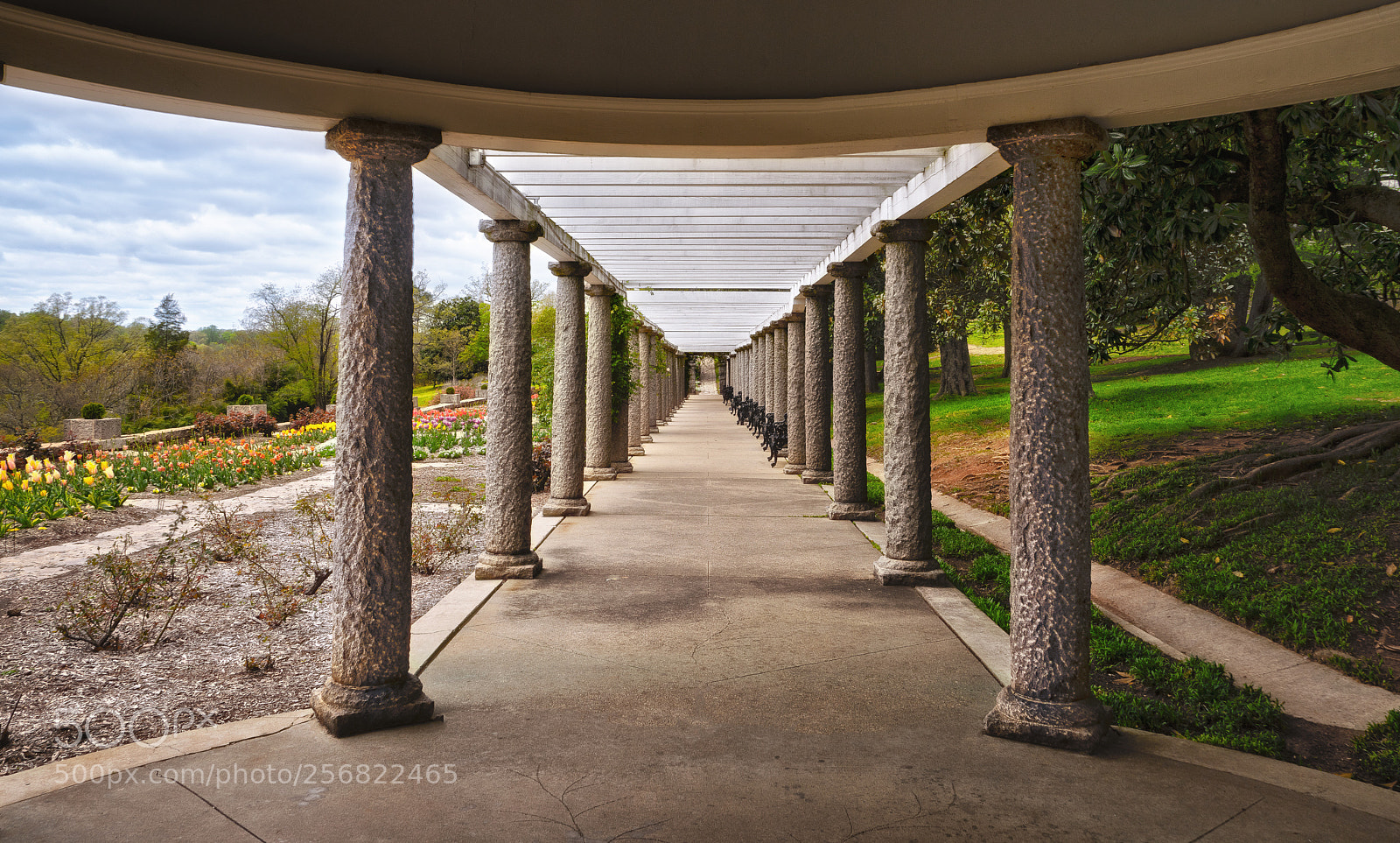 Sony a7R III sample photo. Maymont italian garden photography