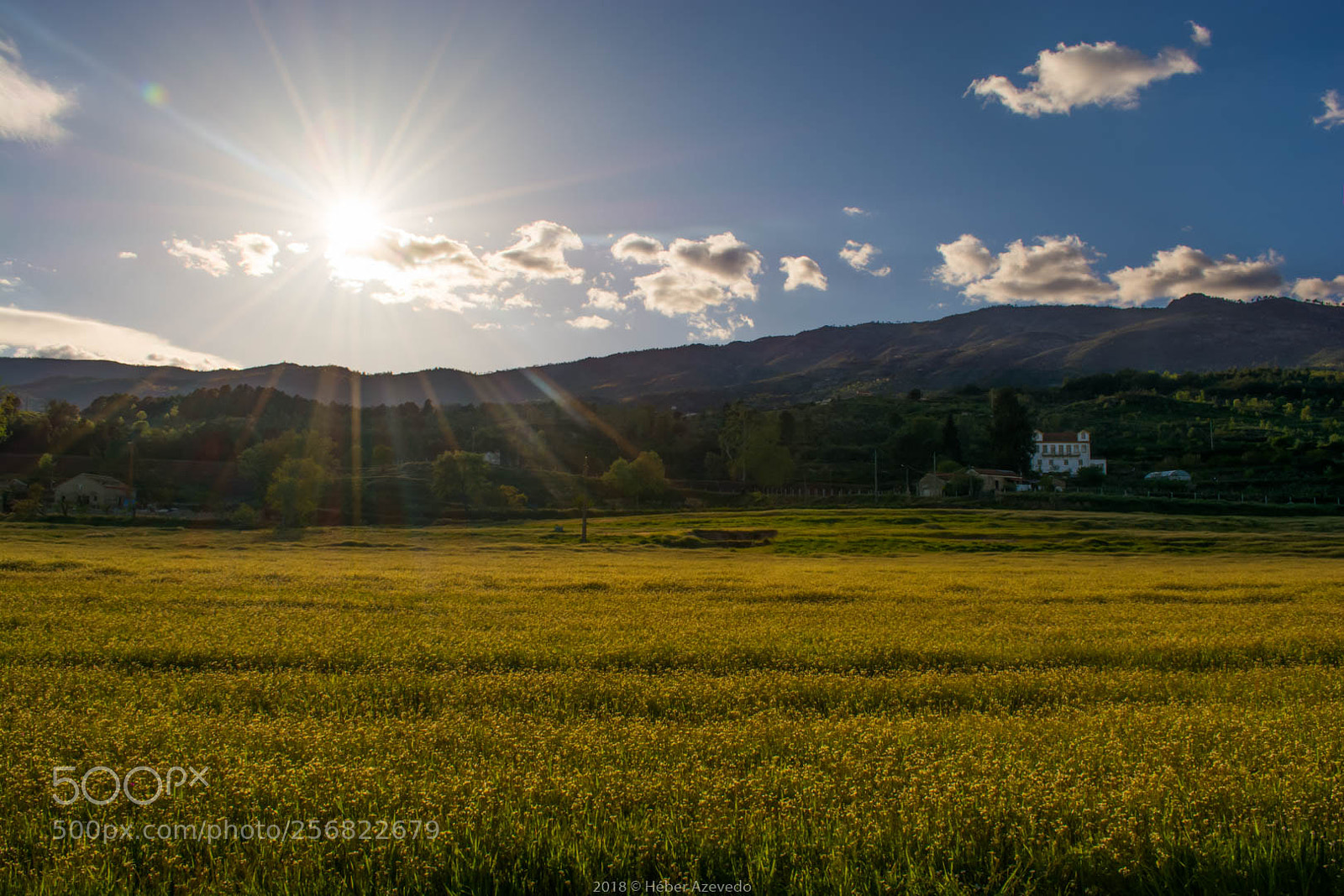 Nikon D7100 sample photo. Spring photography