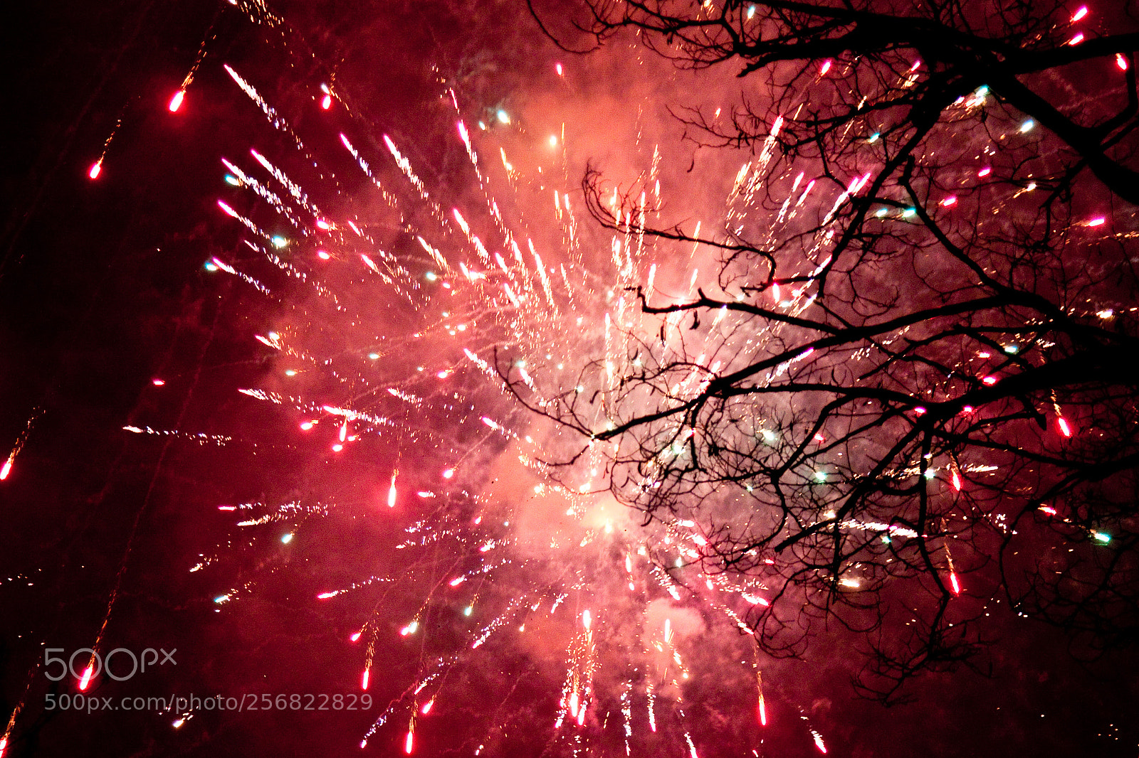 Canon EOS 50D sample photo. Fireworks photography