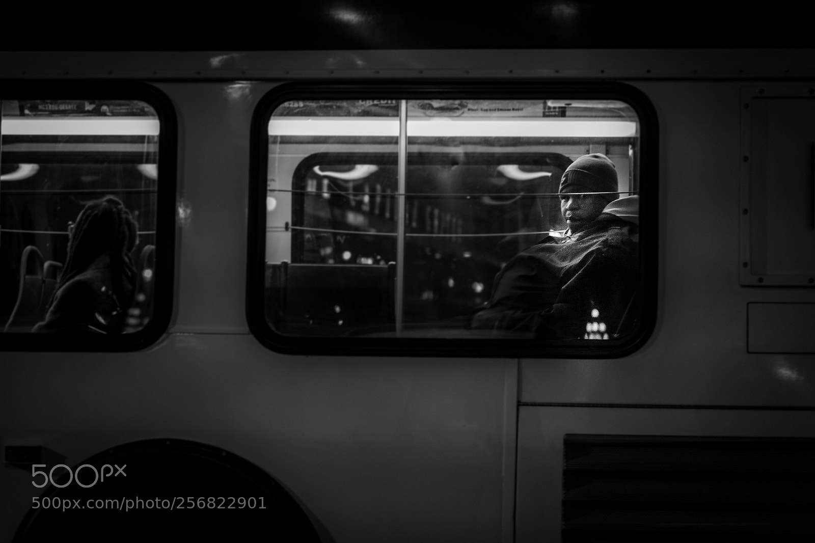 Sony a7R III sample photo. Locked gazes photography