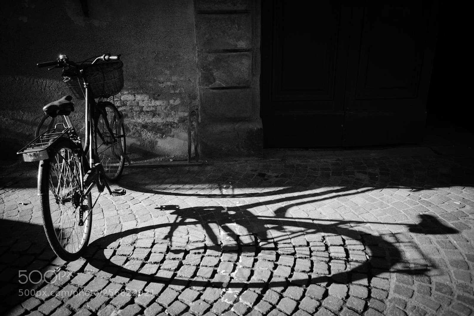 Nikon D7100 sample photo. Great shadow photography