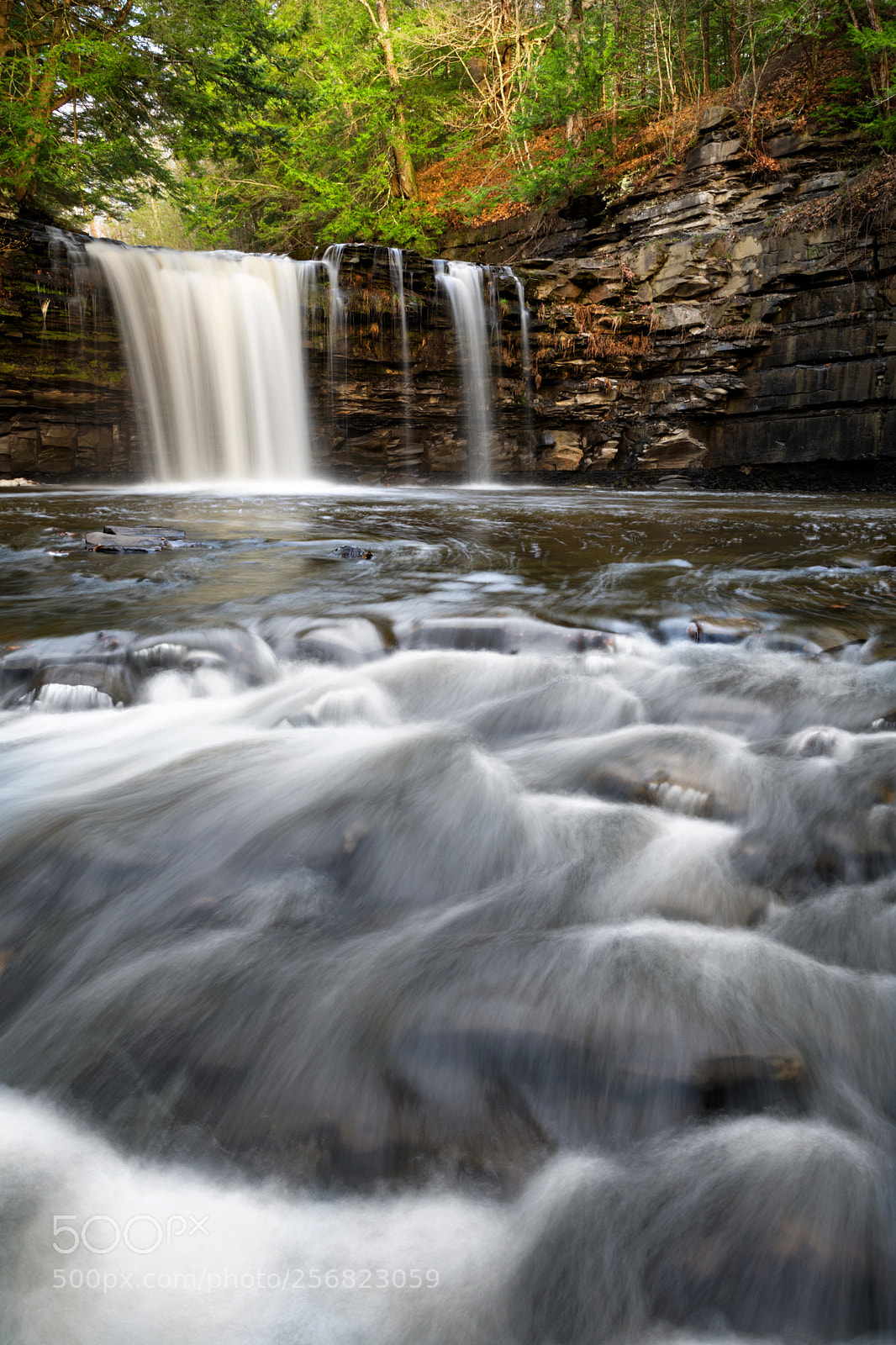 Nikon D7100 sample photo. Bozenkill falls-christman sanctuary photography