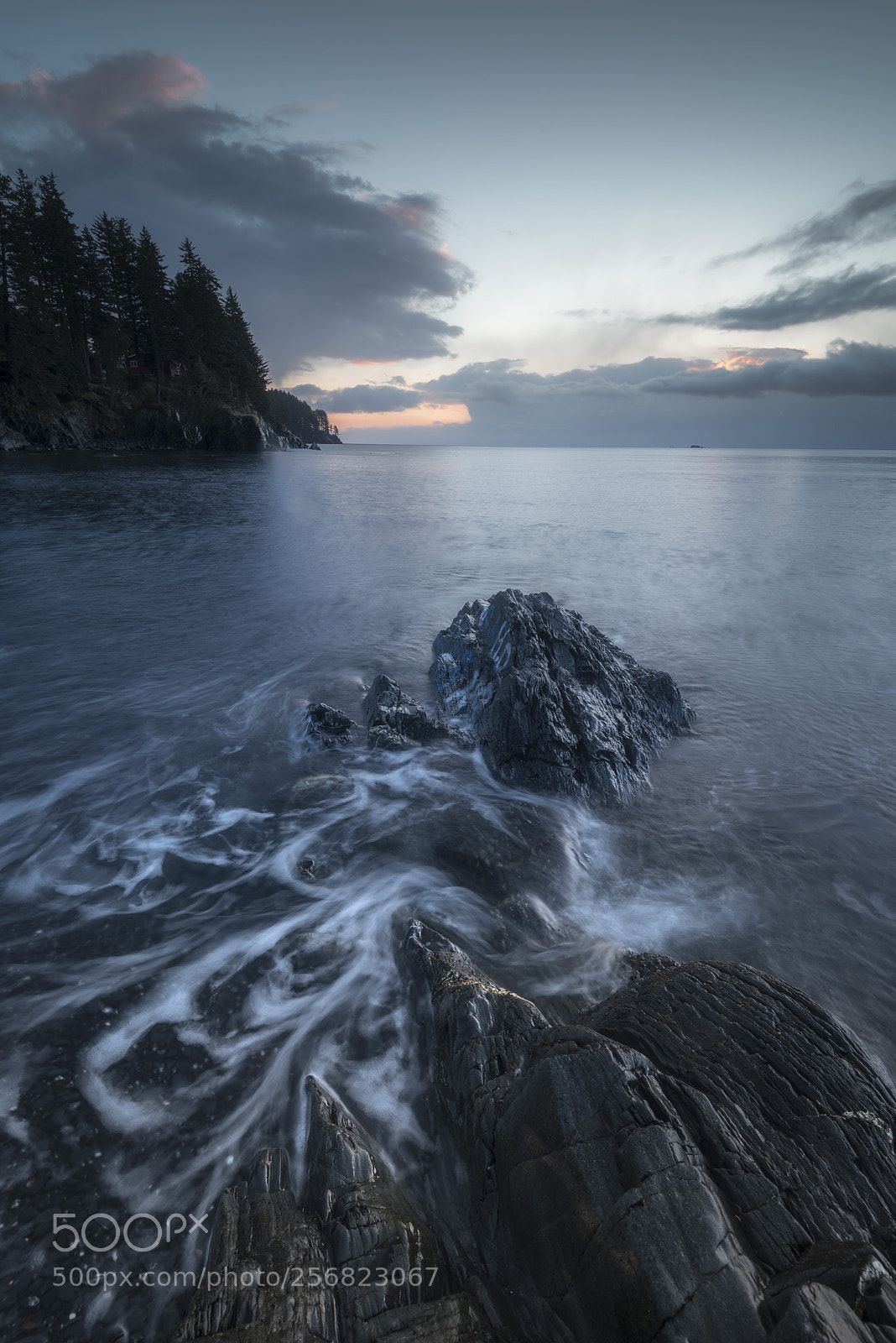 Nikon D750 sample photo. Sea swirl photography