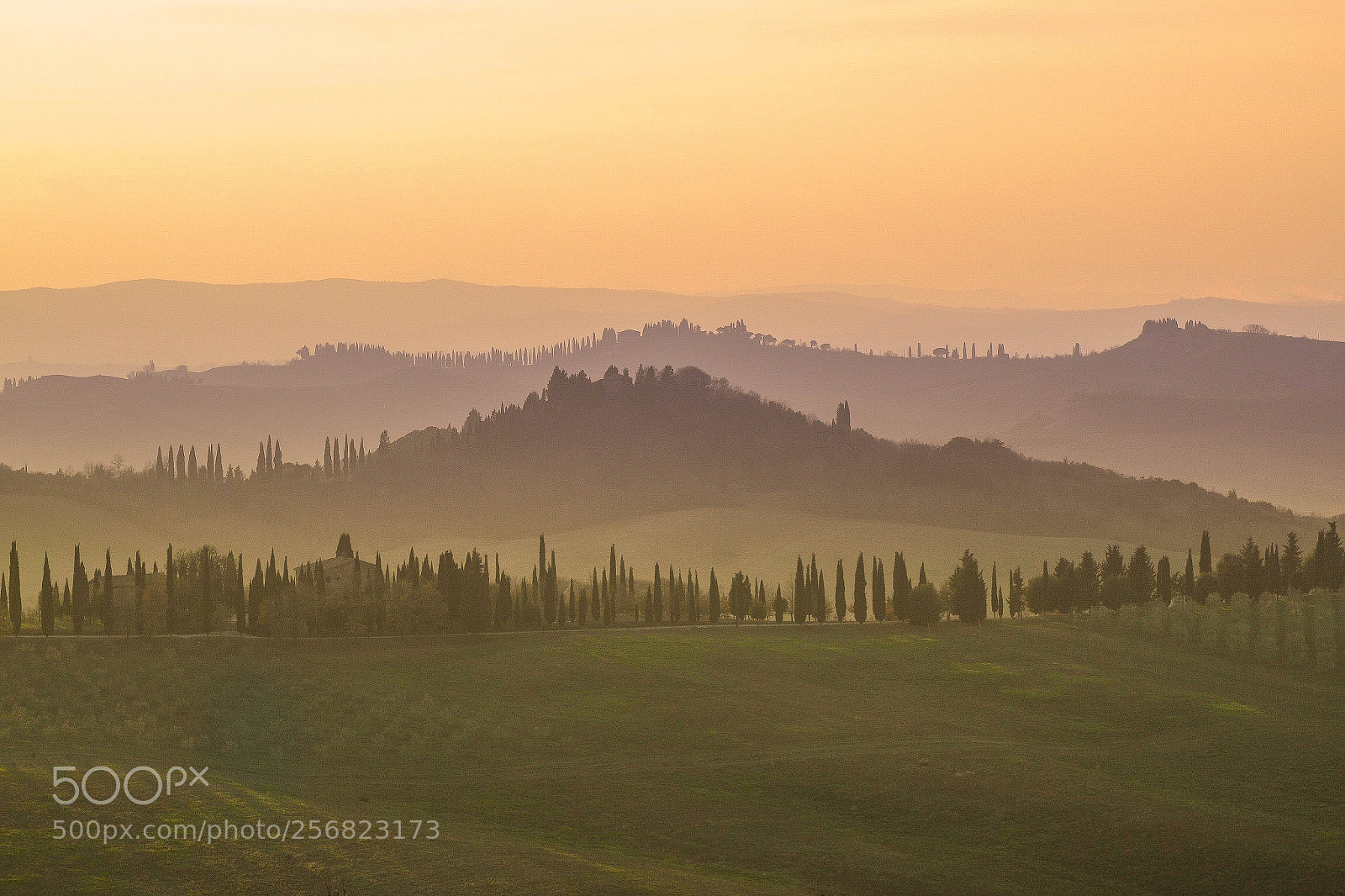 Nikon D3100 sample photo. Val d’orcia sunset photography