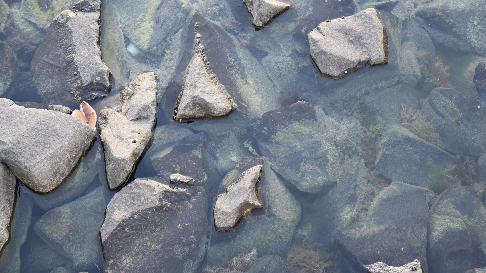 Tamron SP 24-70mm F2.8 Di VC USD sample photo. Sea_stones photography