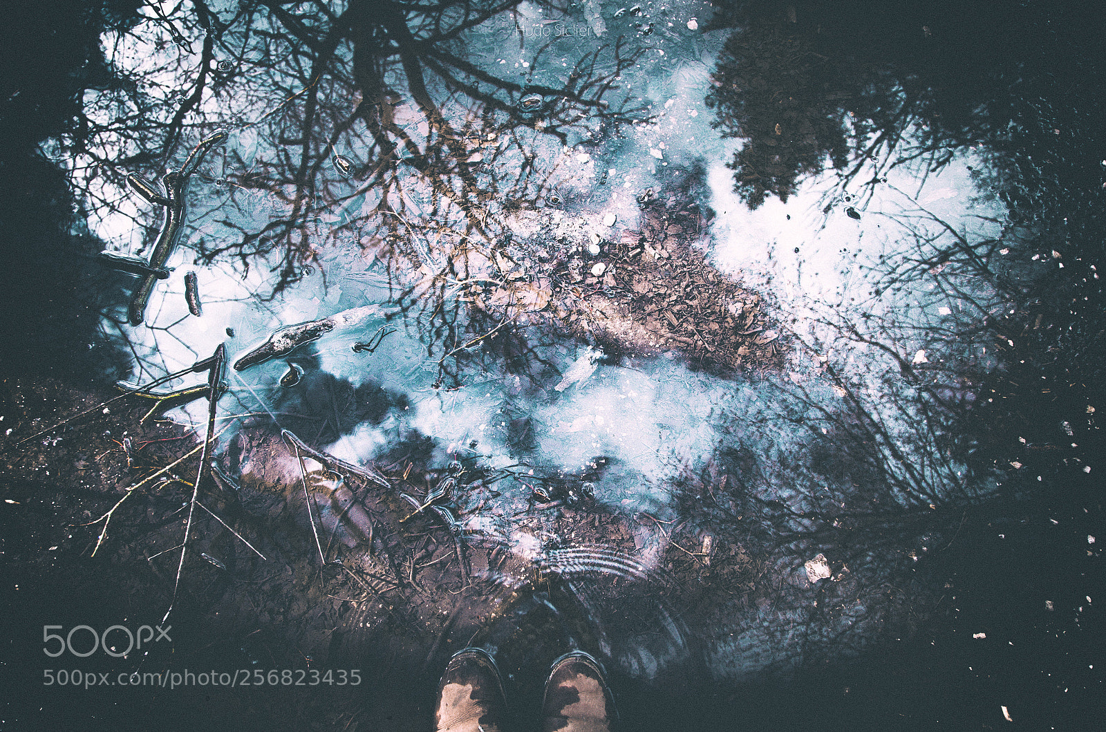 Nikon D5100 sample photo. Falling stars photography