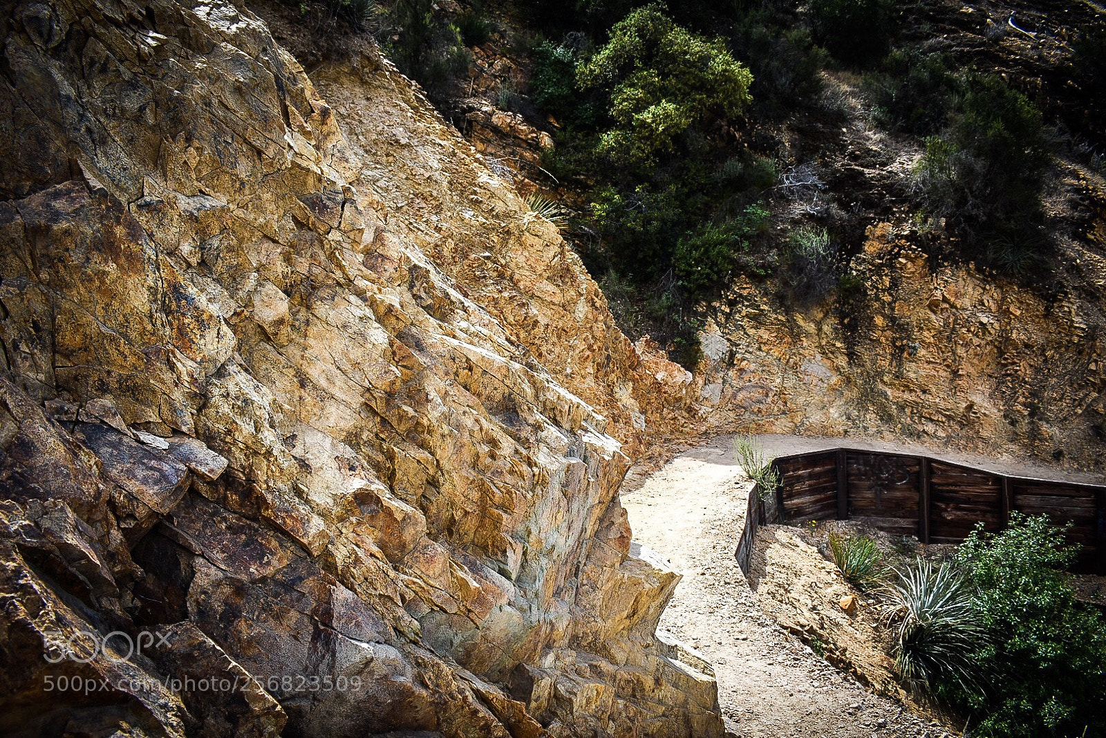 Nikon D3400 sample photo. Stay on the path  photography