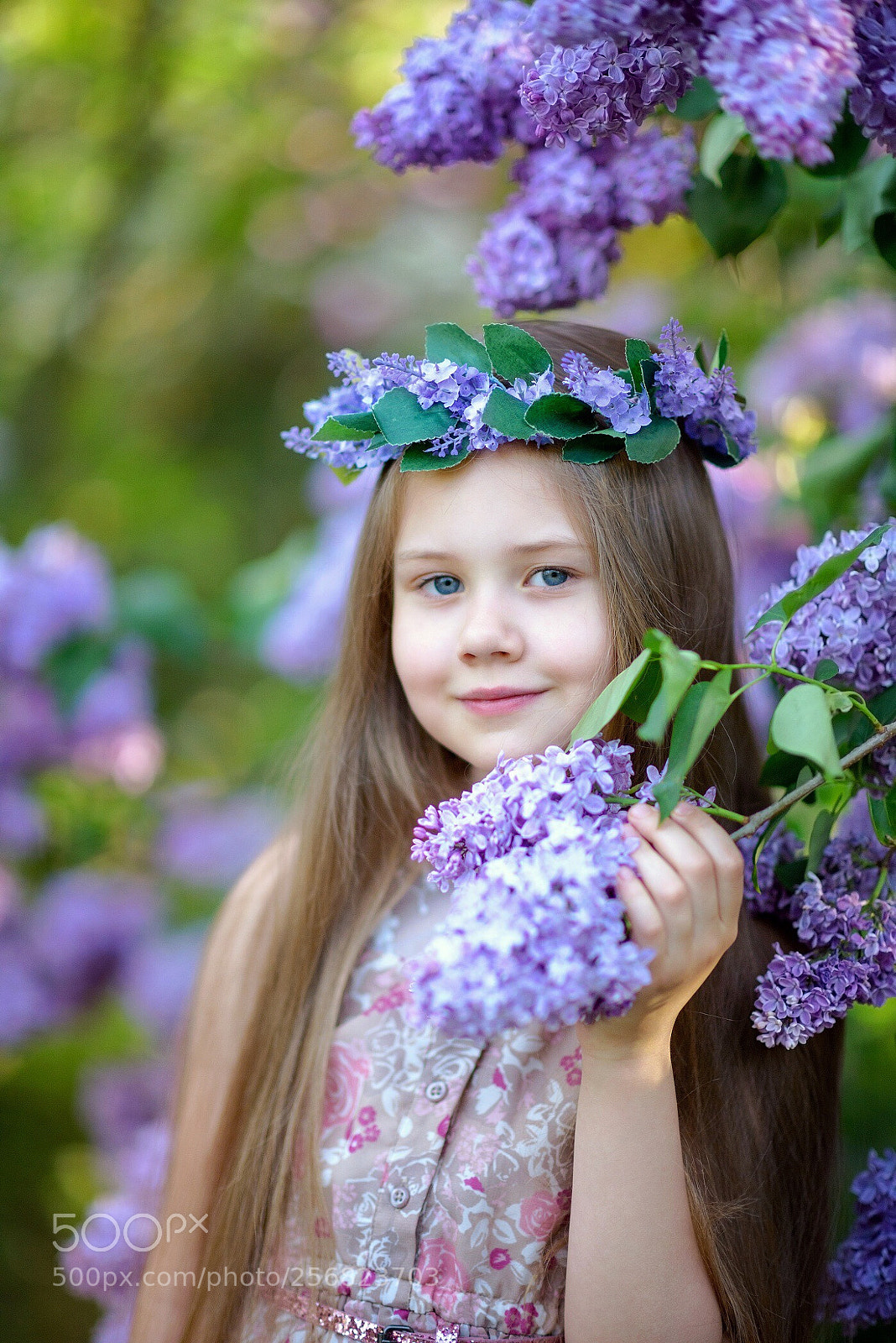 Nikon D810 sample photo. Untitled photography