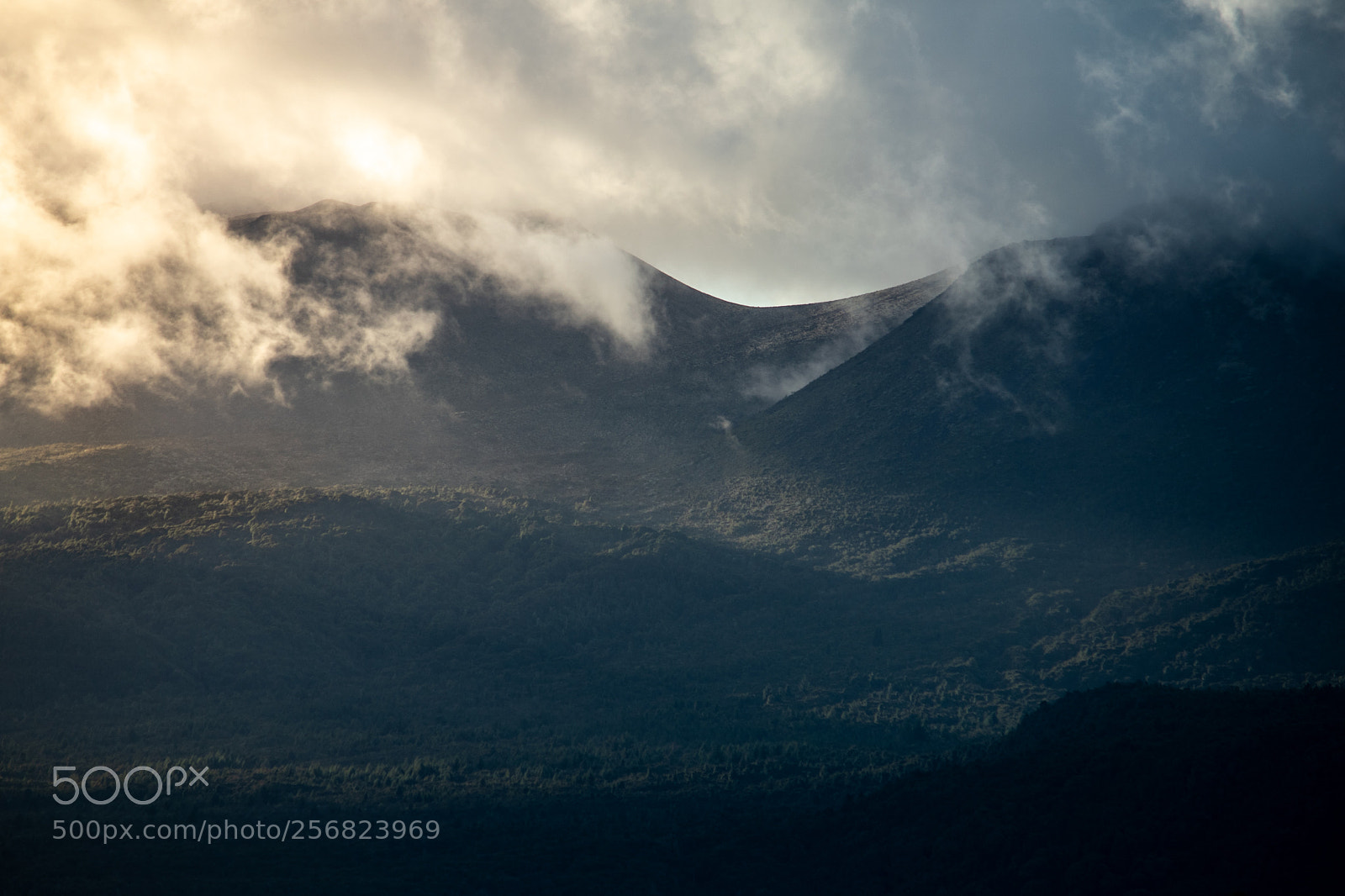 Nikon D5500 sample photo. Morning in the valley photography