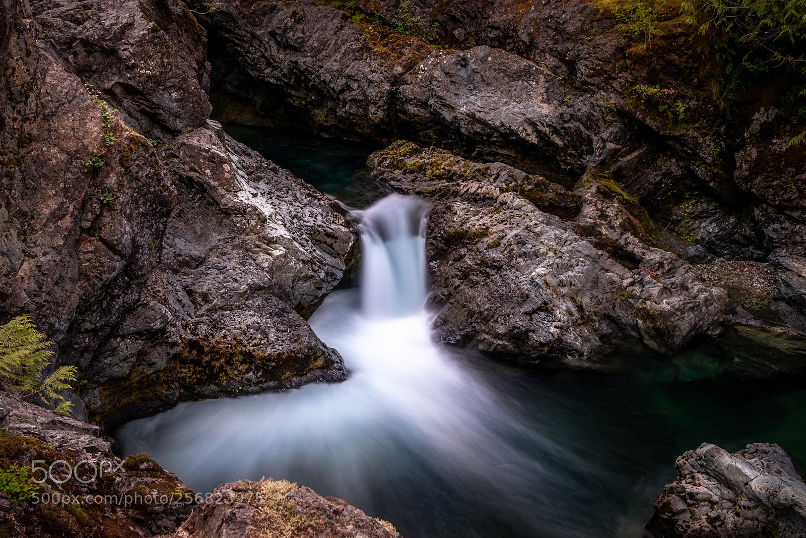 Fujifilm X-T2 sample photo. Vancouver island photography