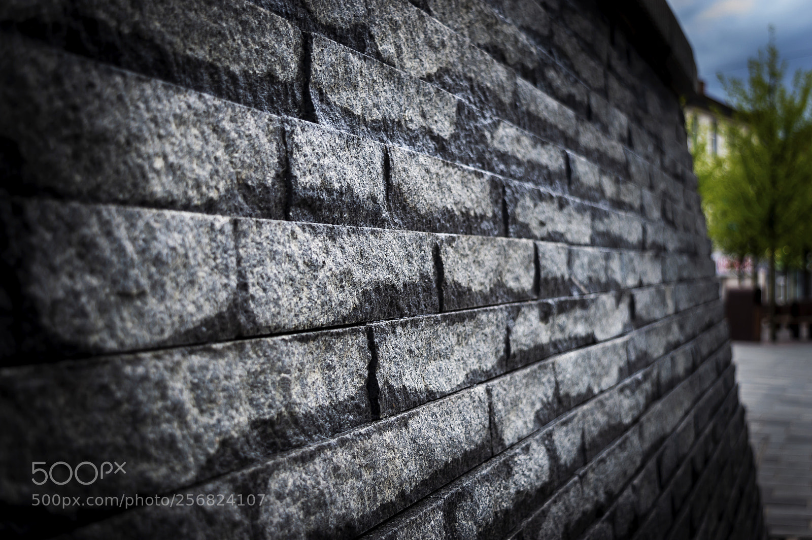 Nikon D3200 sample photo. Untitled photography