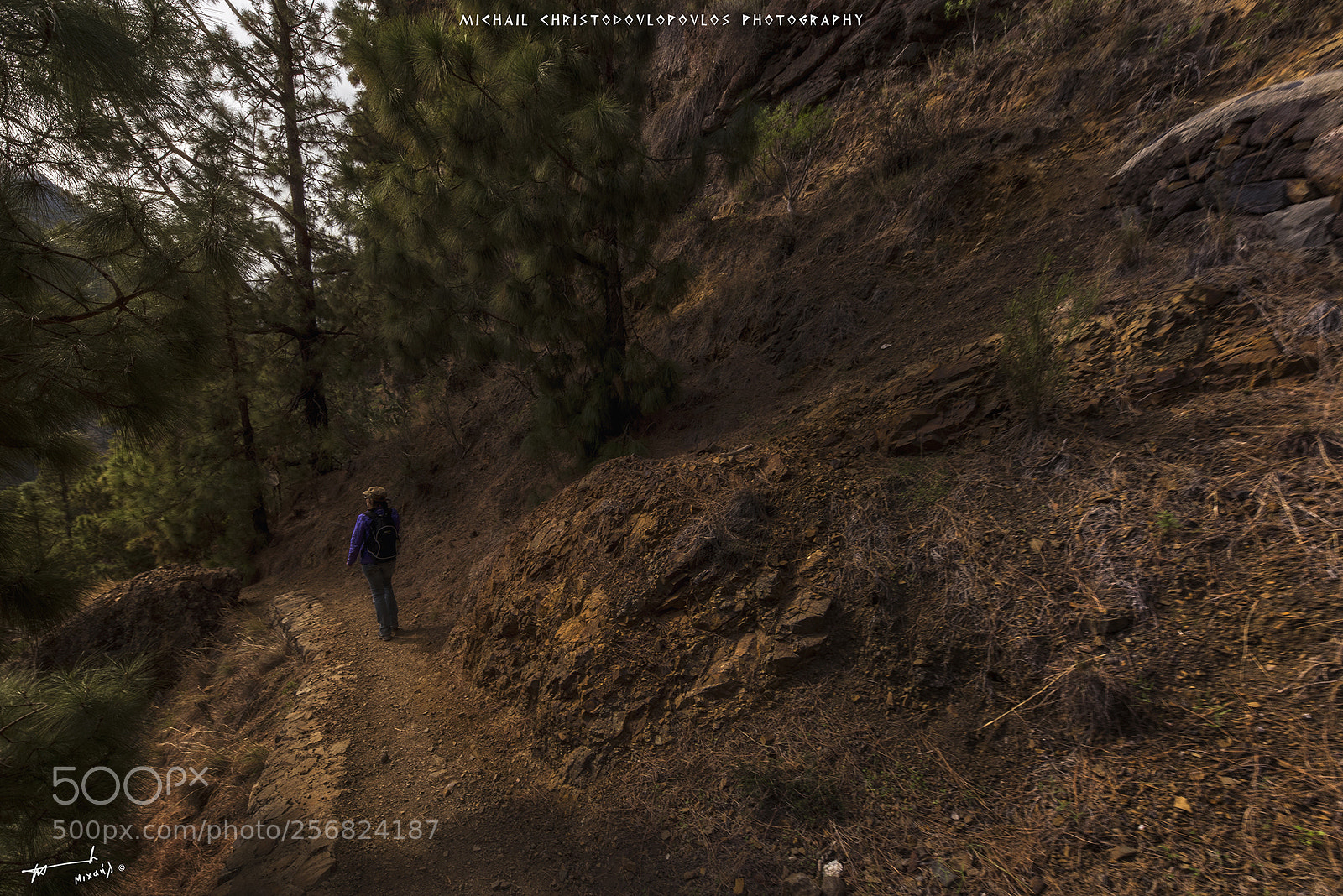 Nikon D810 sample photo. Parque nacional de la photography