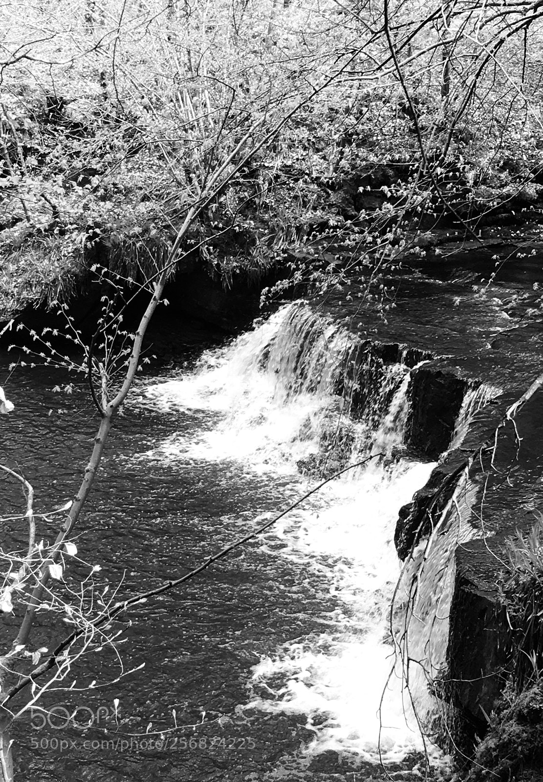 Apple iPhone 6s sample photo. River calder falls  photography