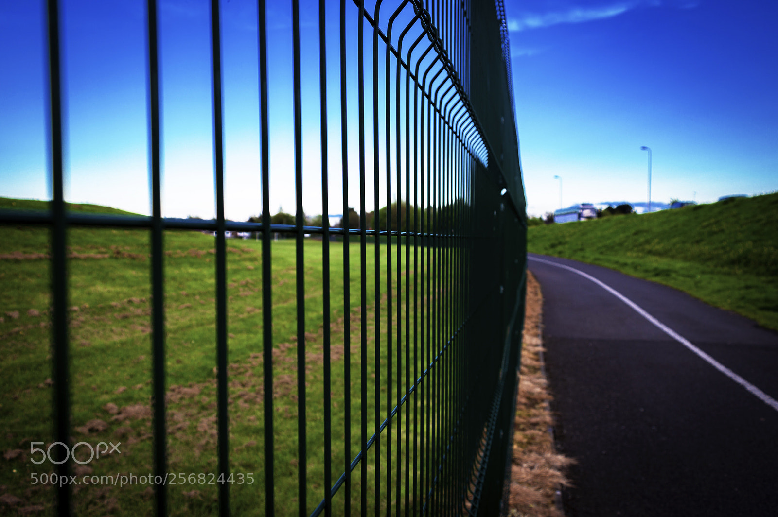 Nikon D3200 sample photo. Untitled photography
