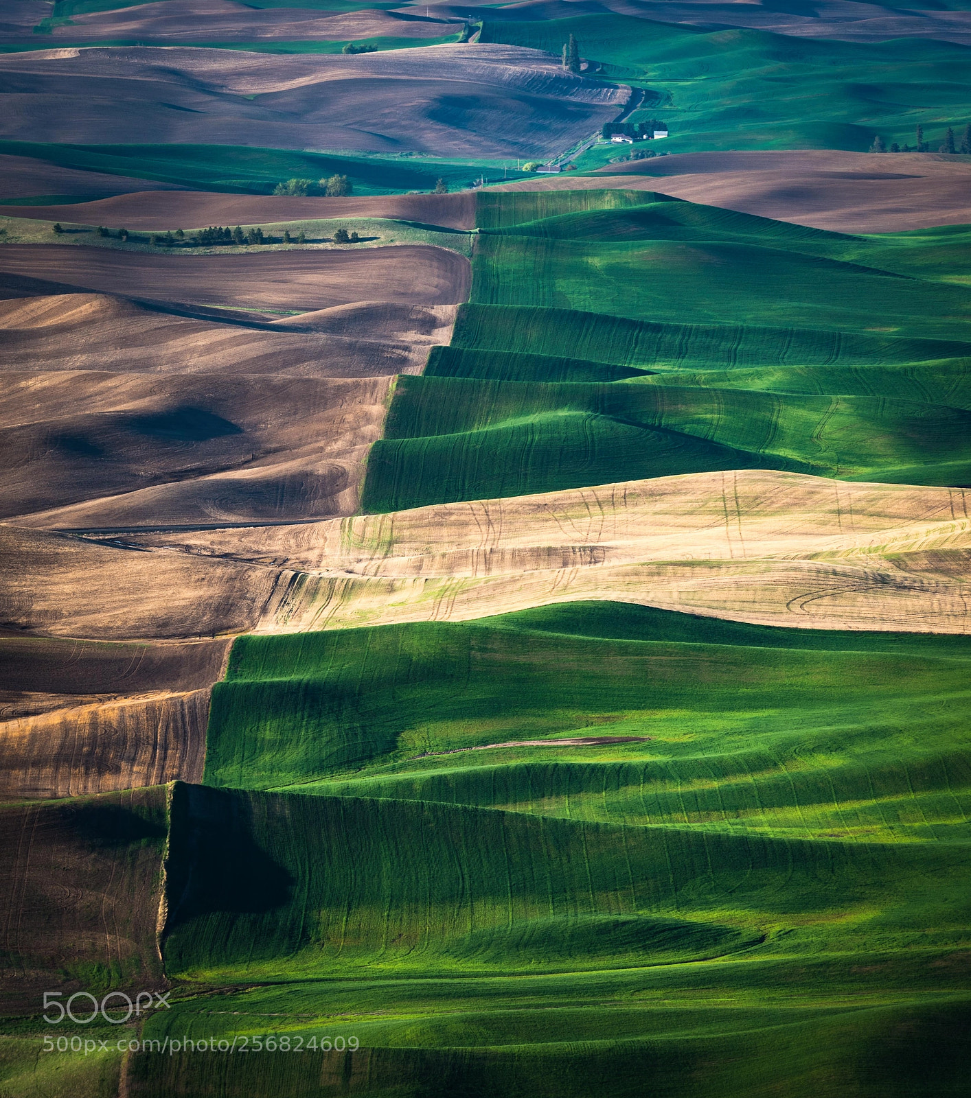 Nikon D750 sample photo. Palouse morning light photography