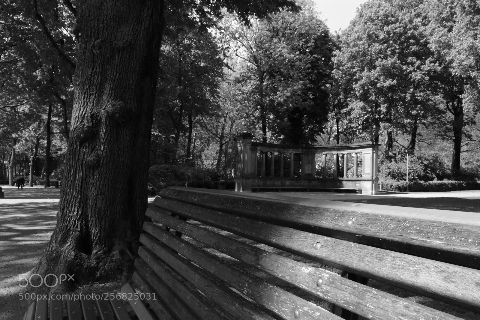 Nikon D5500 sample photo. Parc du cinquantenaire.  photography