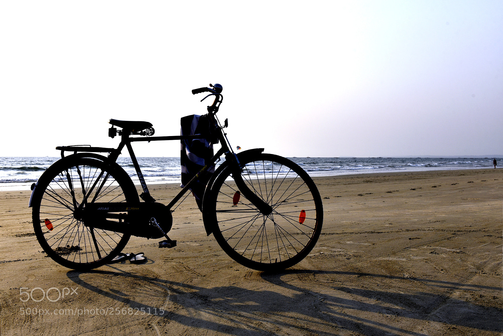 Nikon D750 sample photo. 11 photography